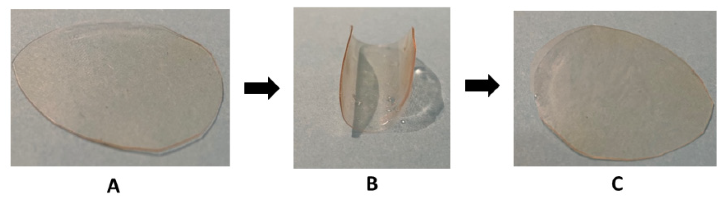 Molecules 25 01568 g010 Molecules 25 01568 g010