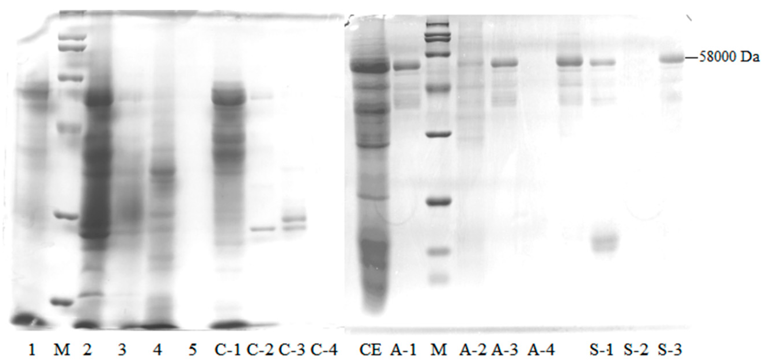 Molecules 25 01572 g002 Molecules 25 01572 g002