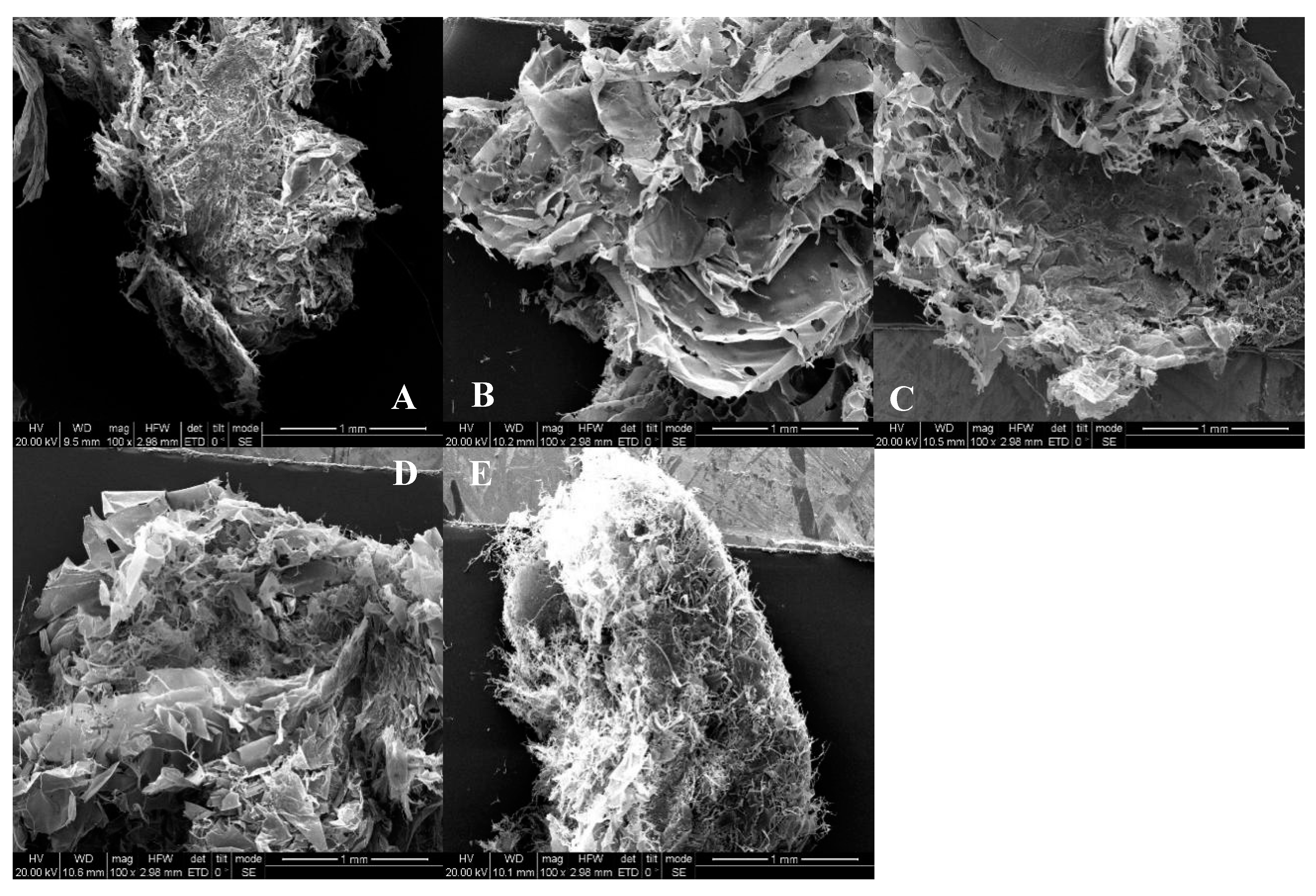 Molecules 25 01572 g004 Molecules 25 01572 g004