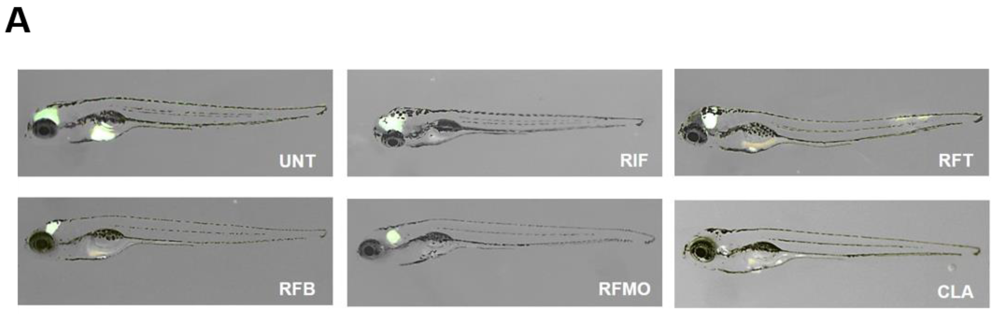 Molecules 25 01597 g004a