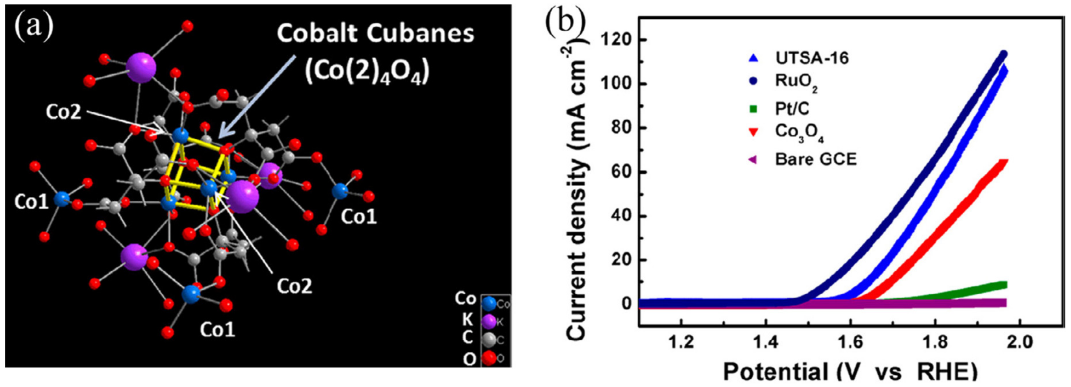 Molecules 25 01598 g005
