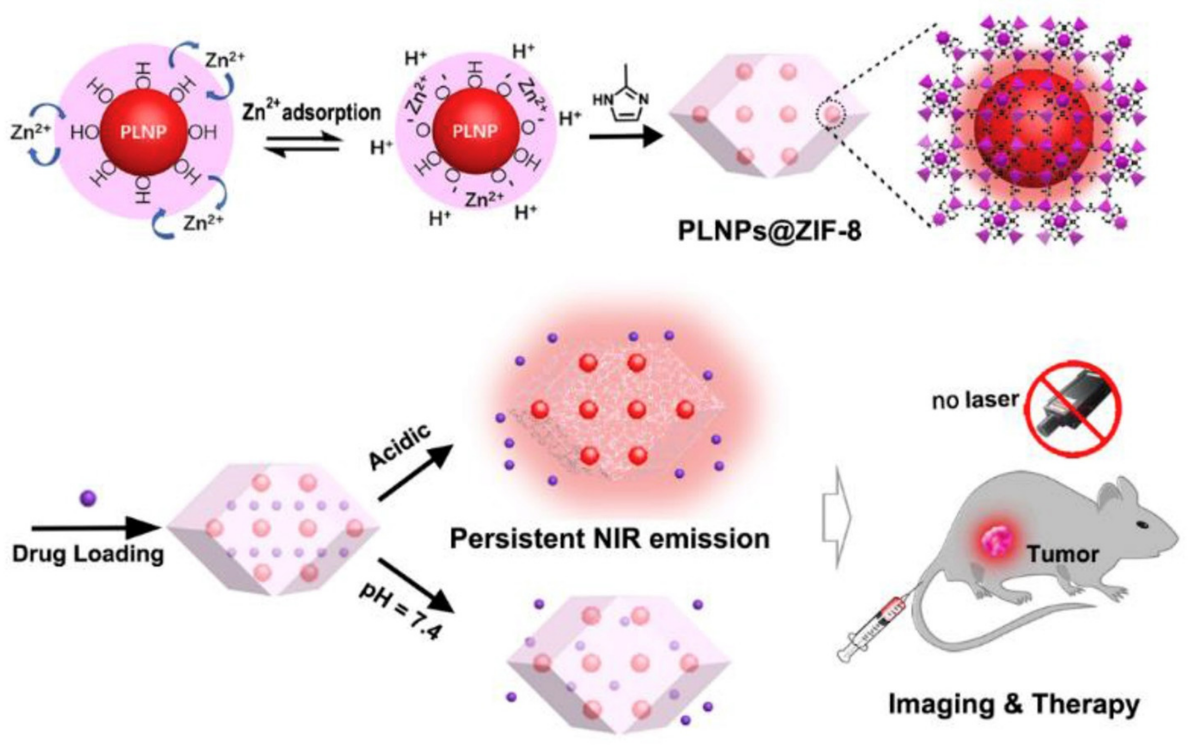 Molecules 25 01598 g007