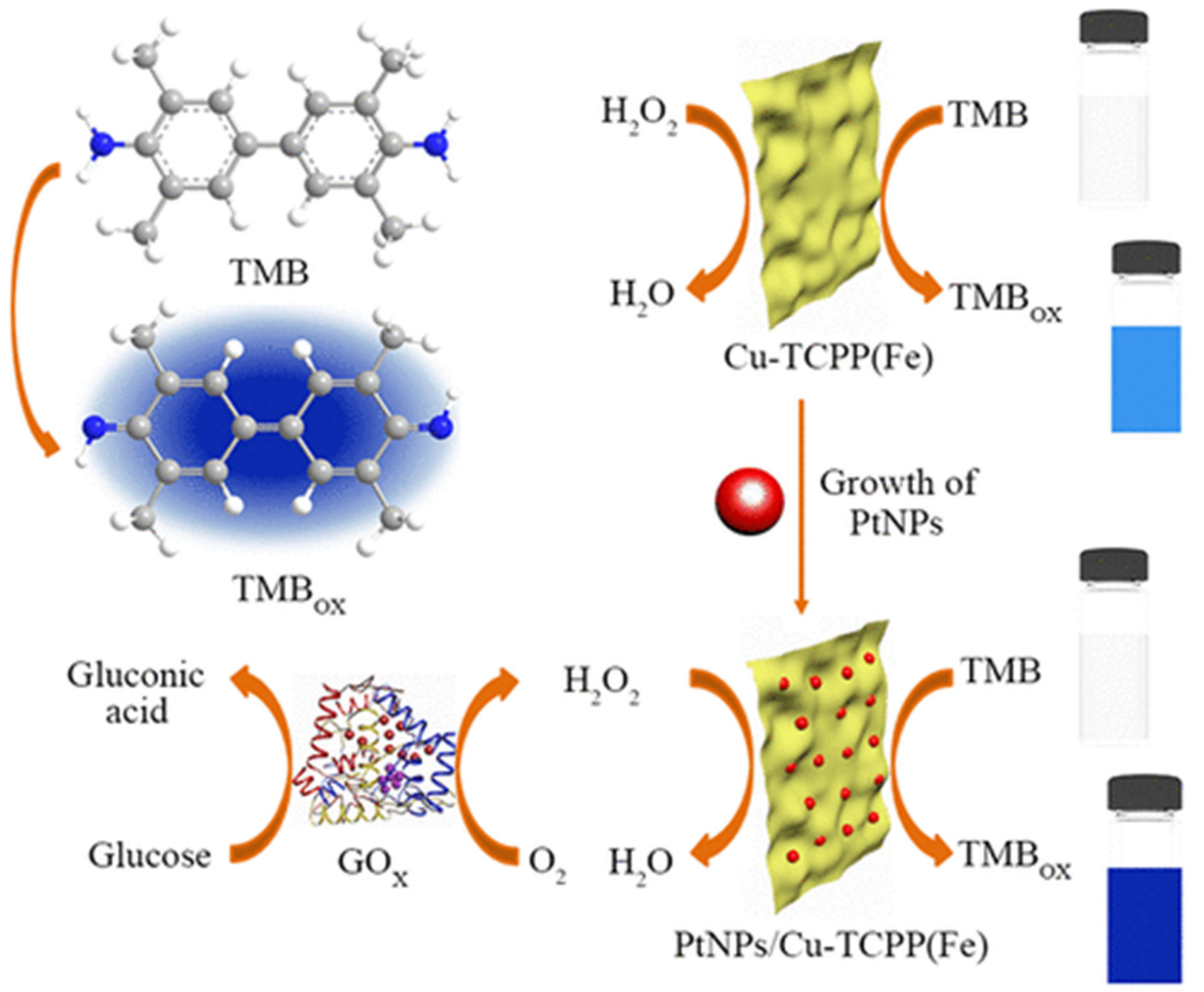 Molecules 25 01598 g009