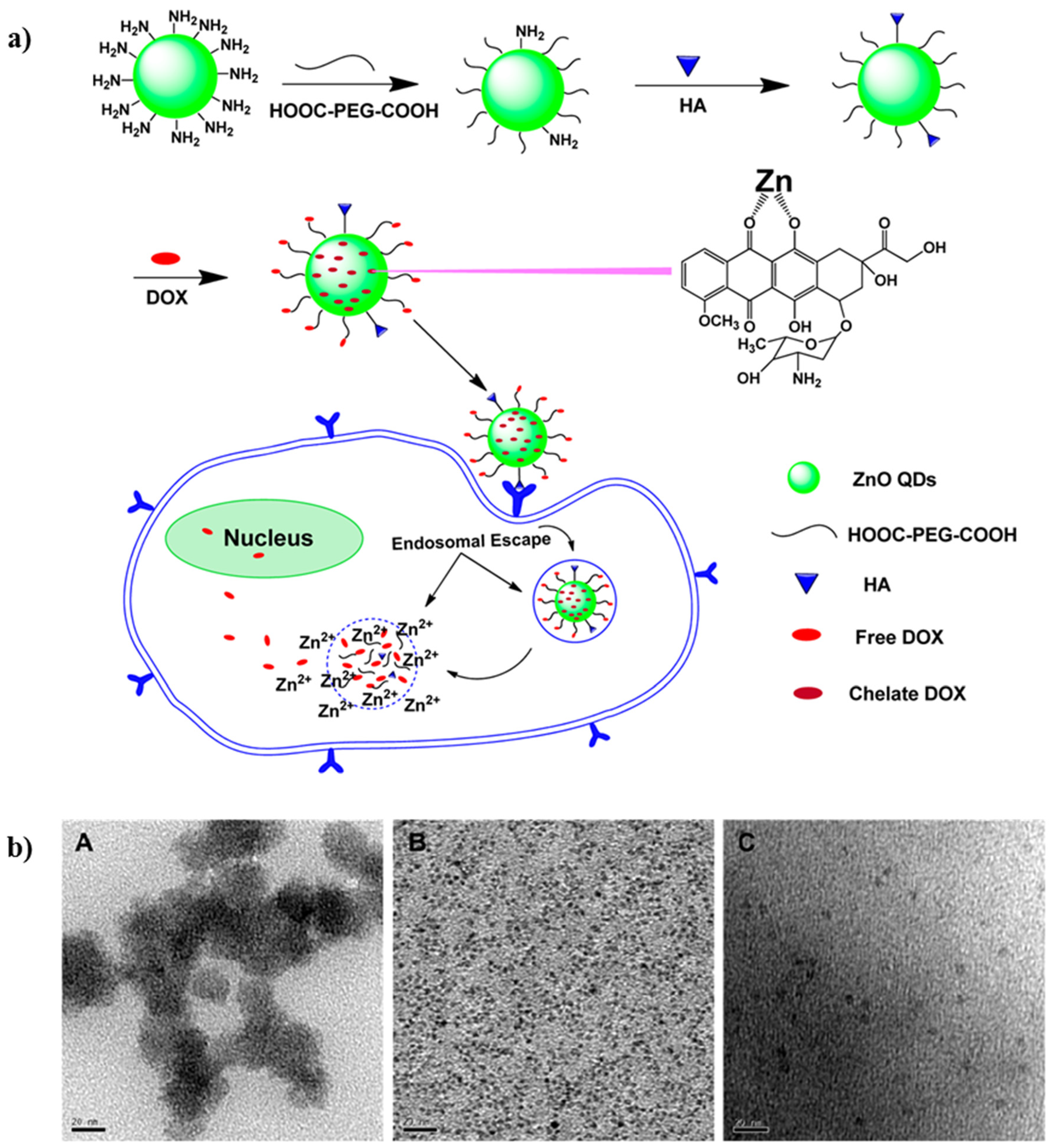 Molecules 25 01605 g015 Molecules 25 01605 g015