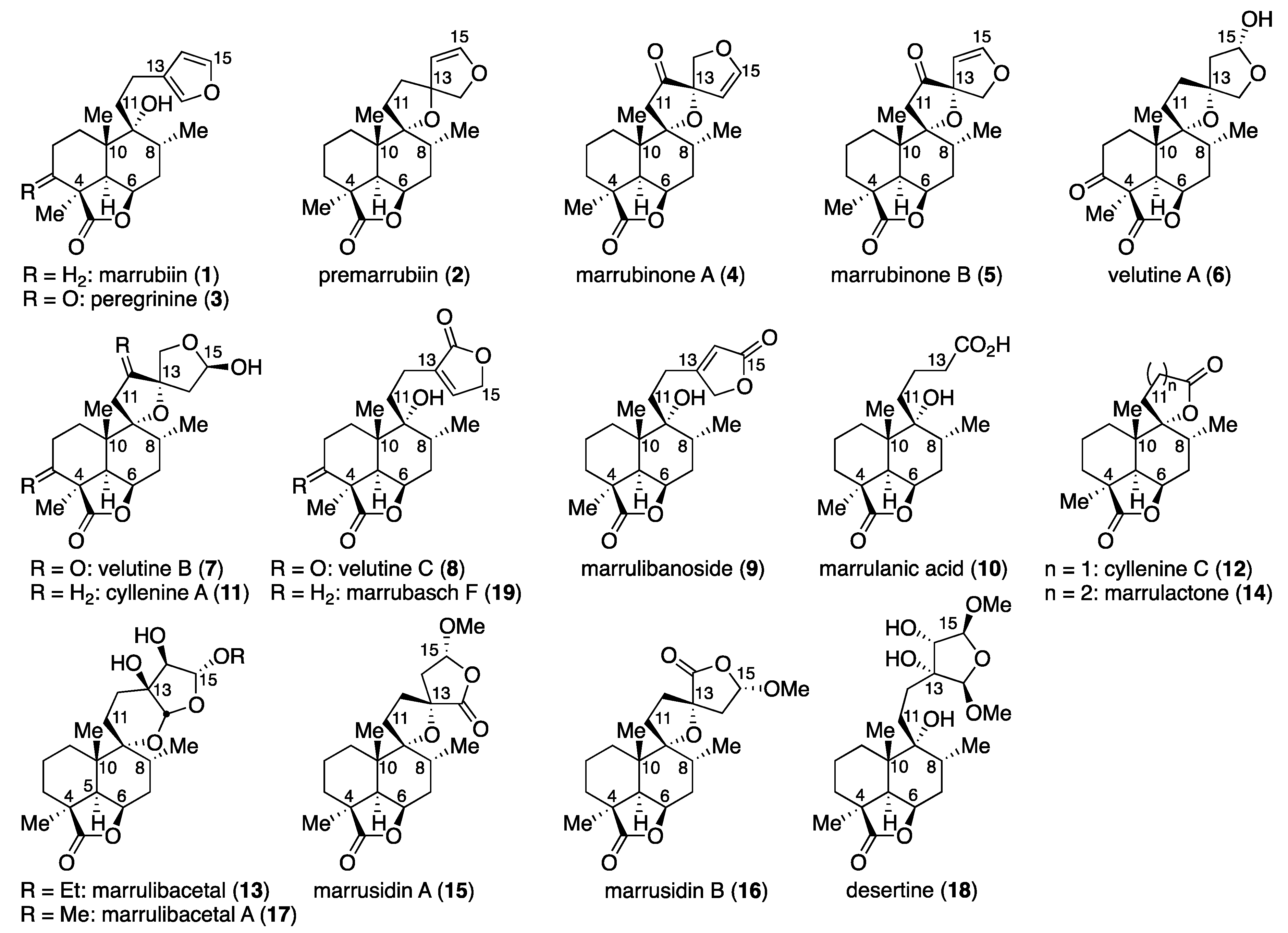 Molecules 25 01610 g001