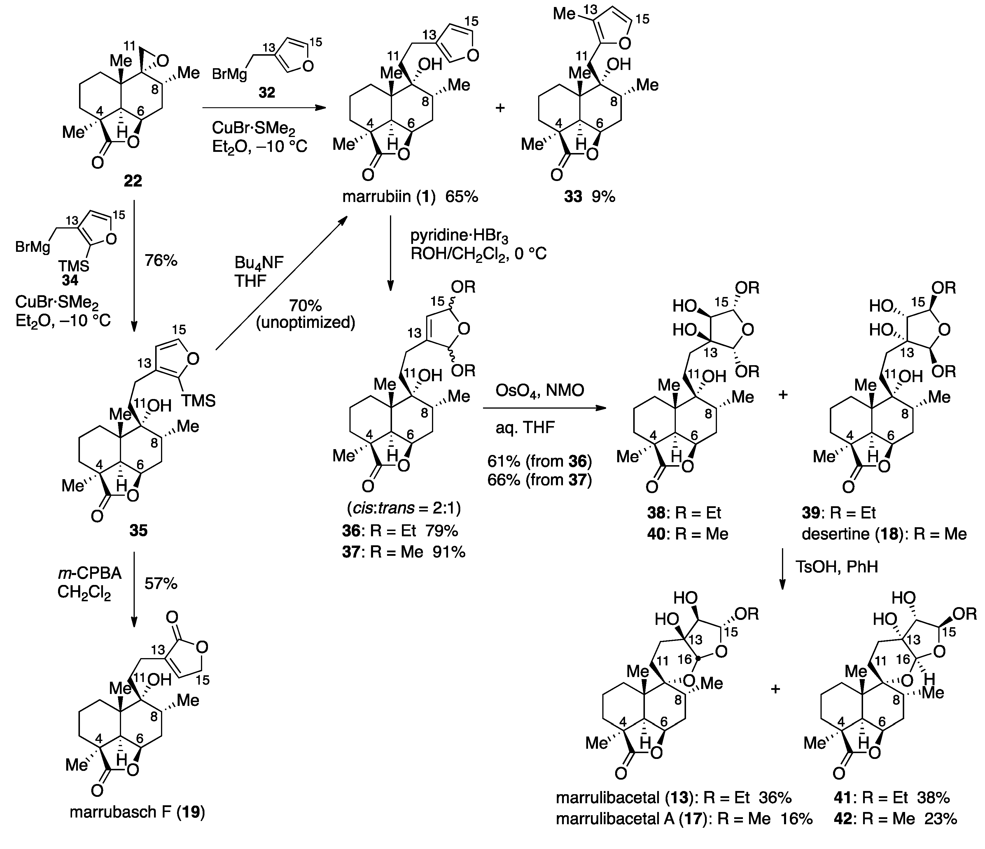 Molecules 25 01610 sch004