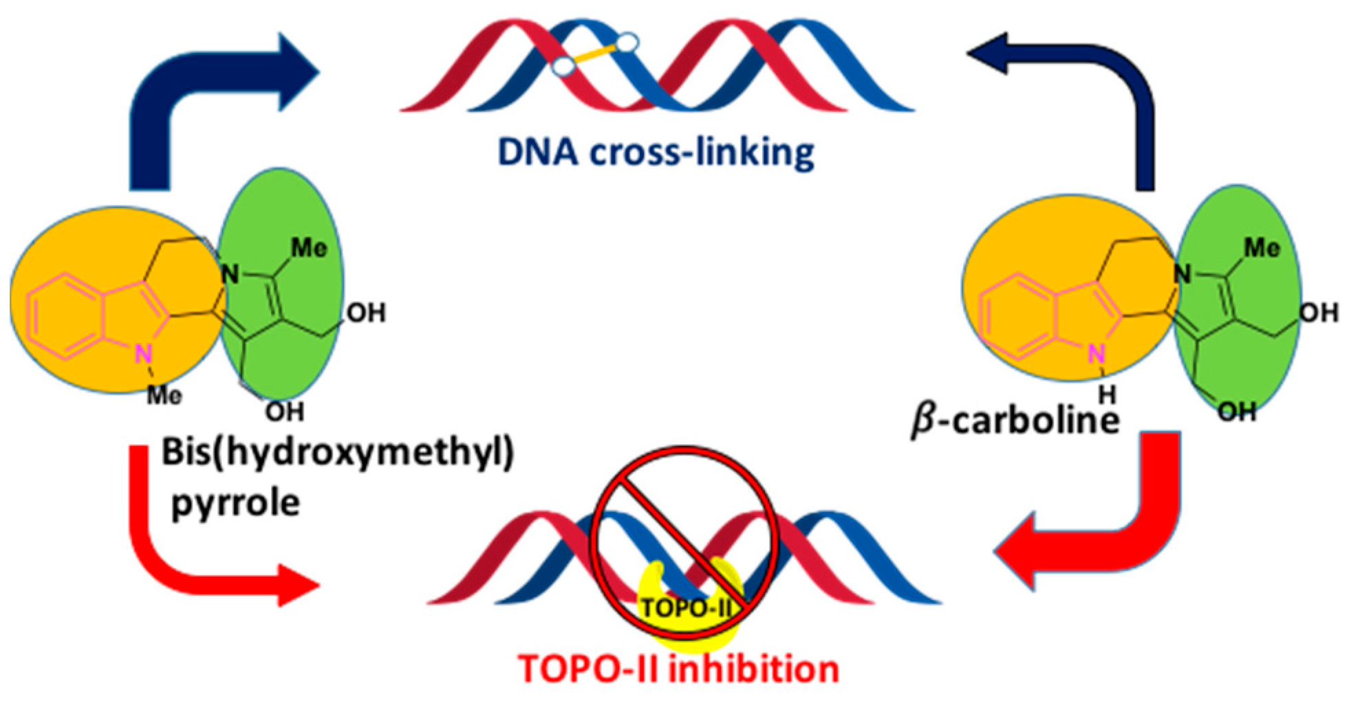 Molecules 25 01615 g008 Molecules 25 01615 g008