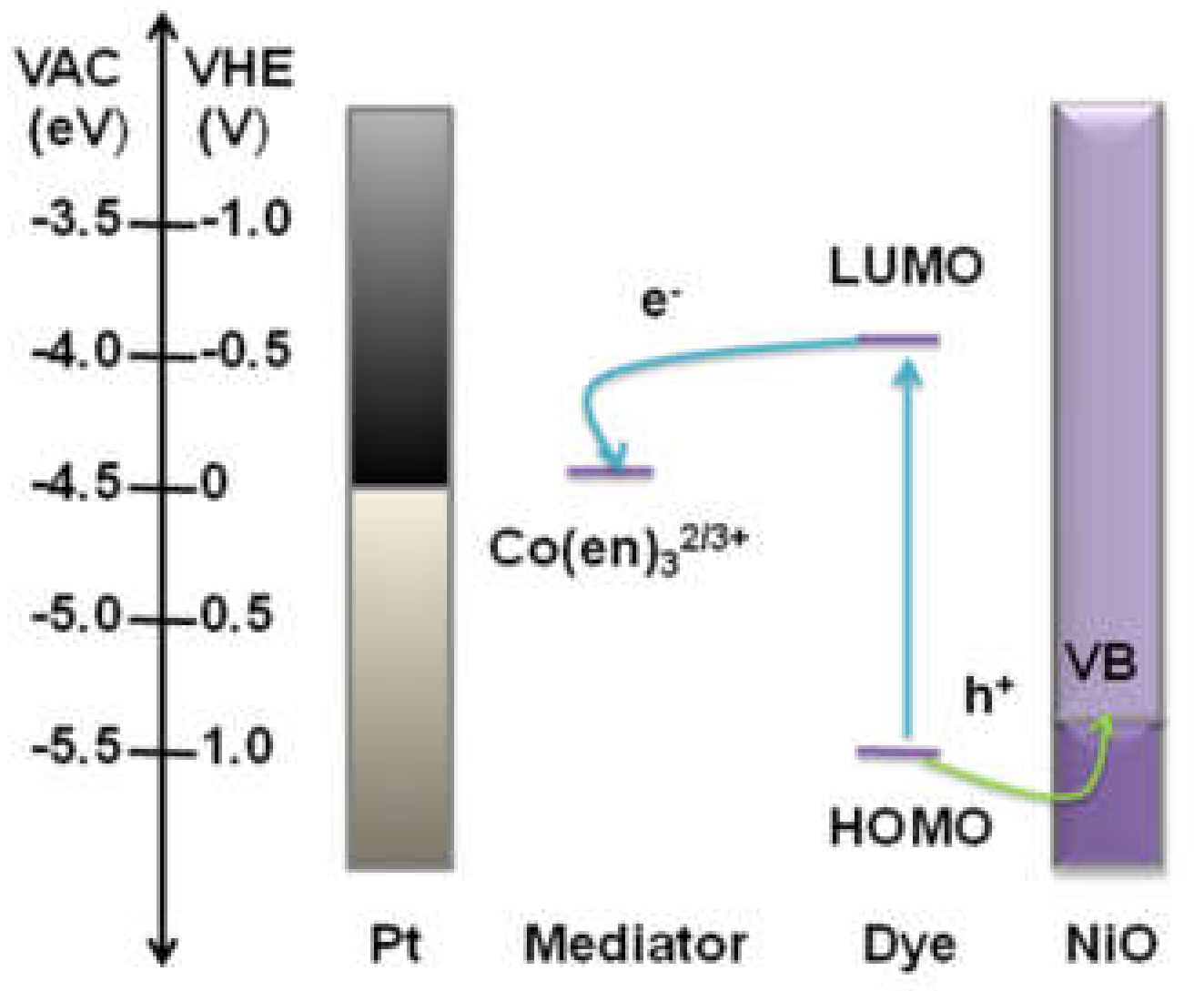 Molecules 25 01638 g001