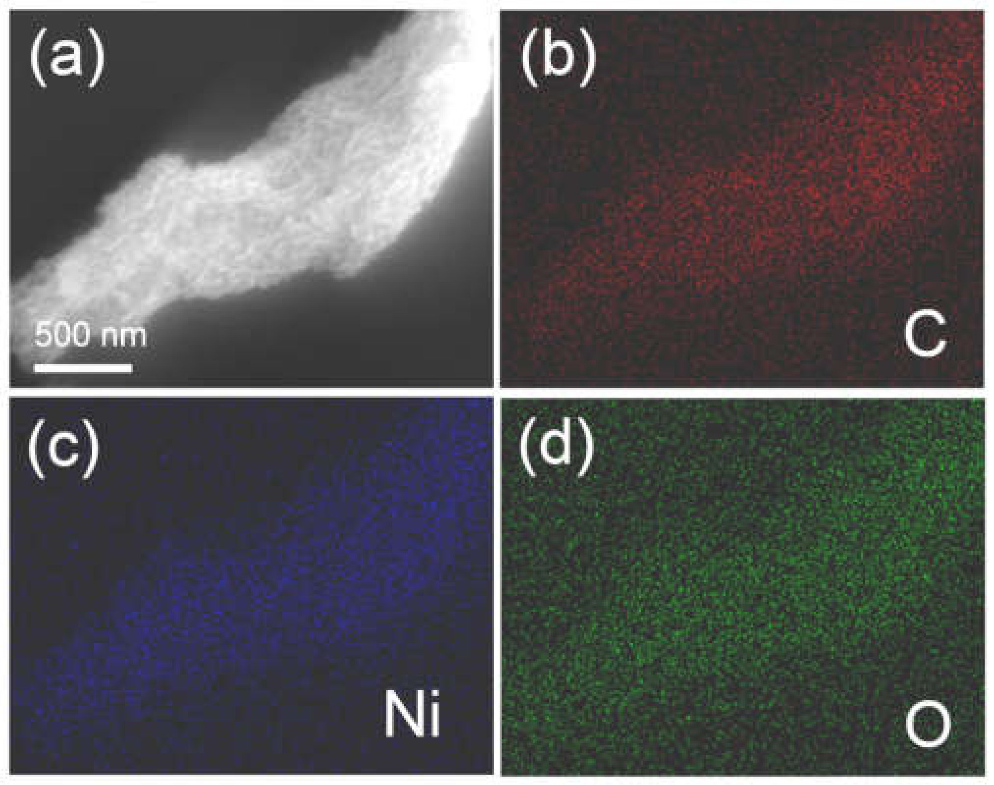 Molecules 25 01638 g004