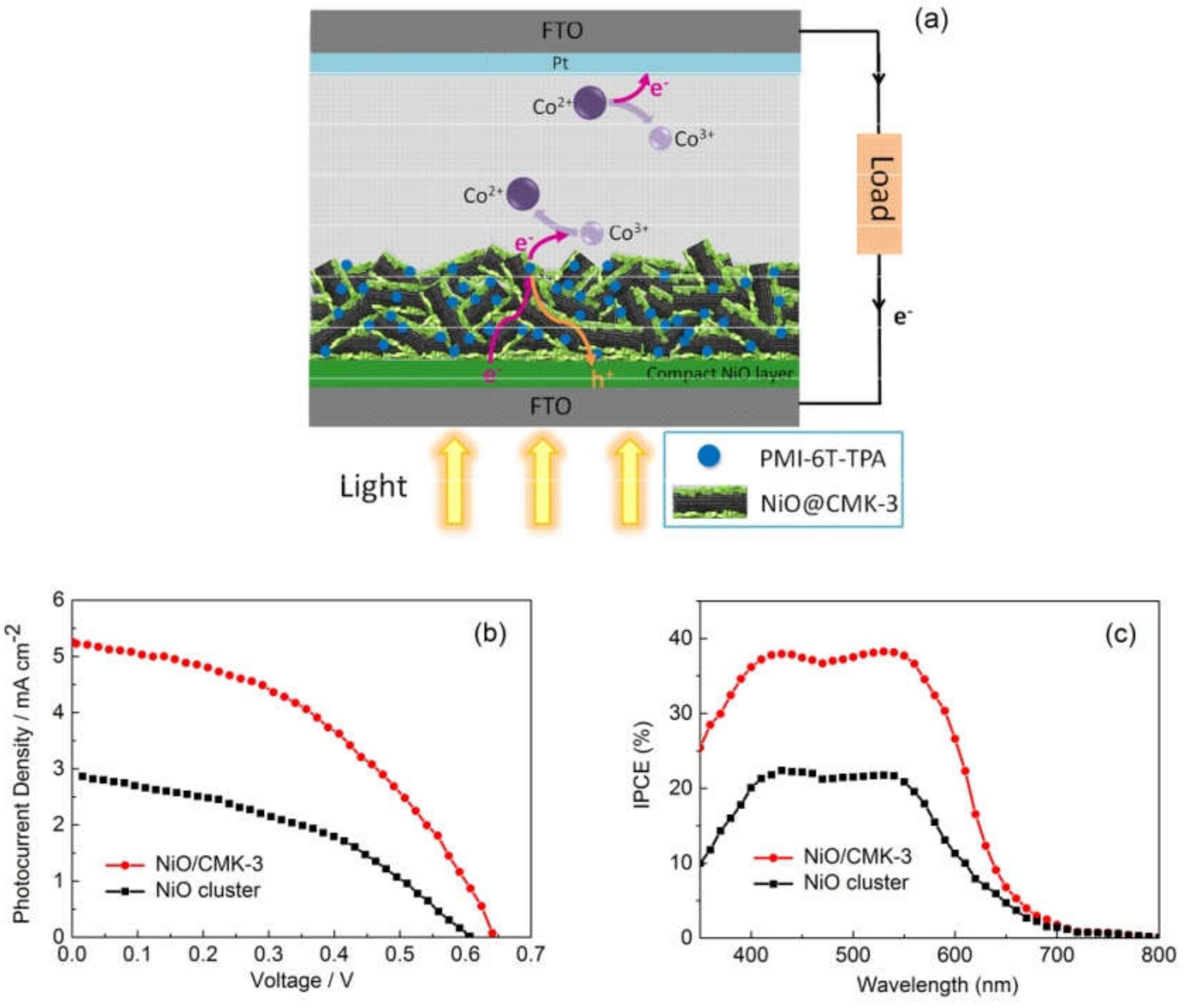 Molecules 25 01638 g005