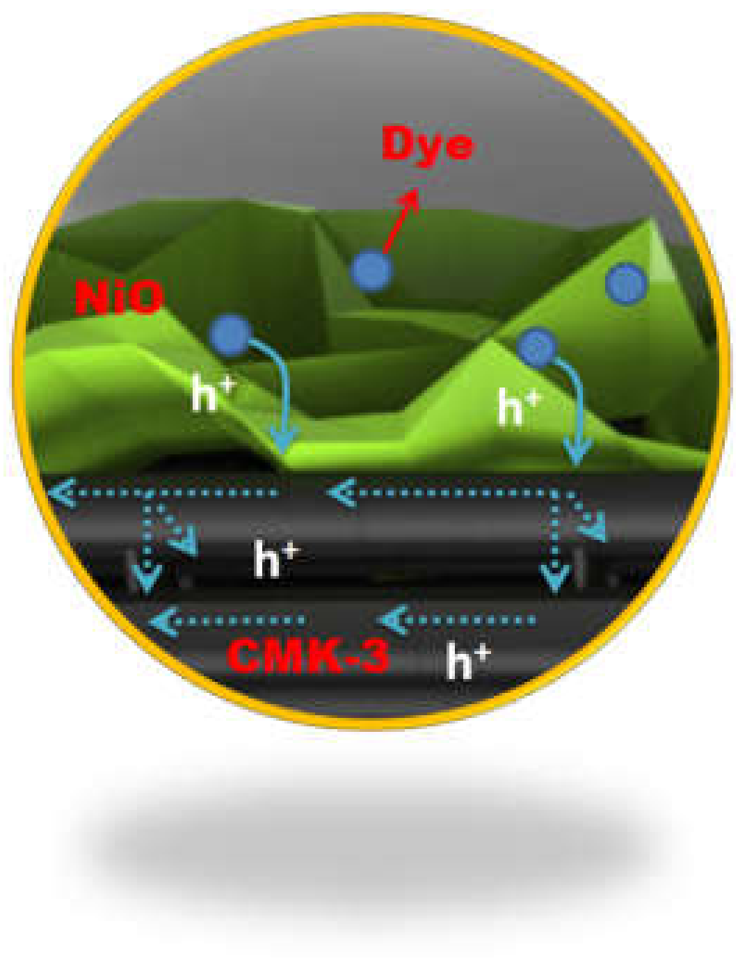 Molecules 25 01638 g007