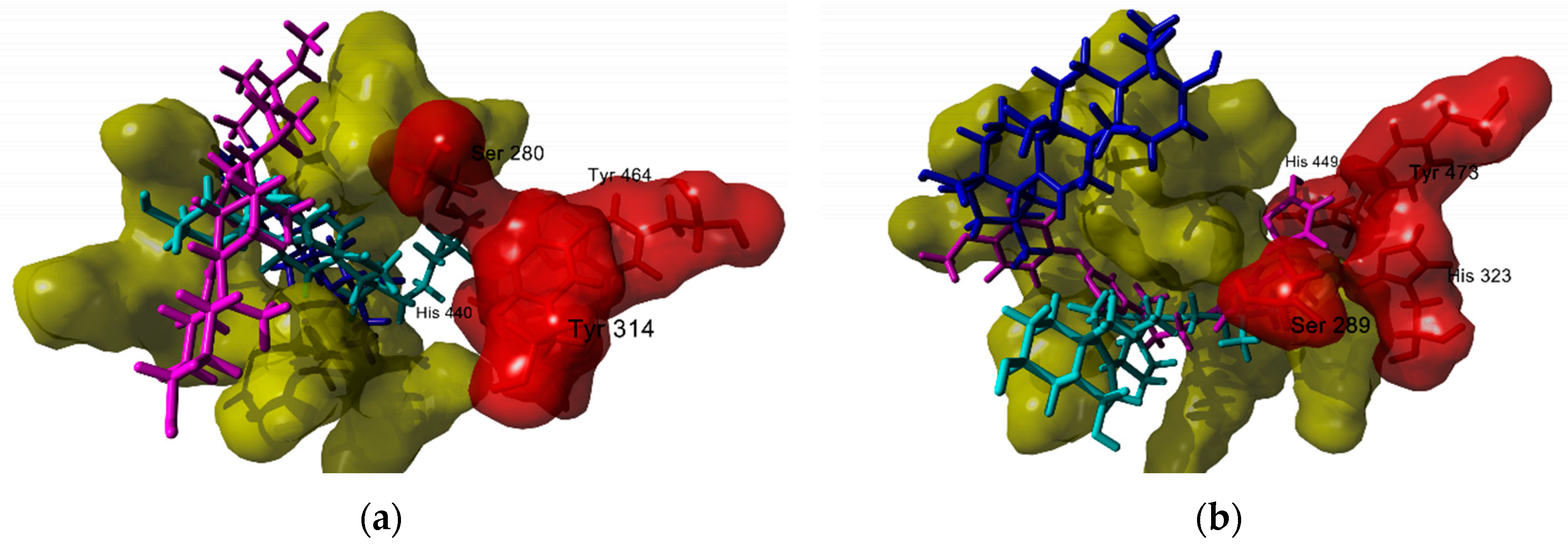 Molecules 25 01649 g003