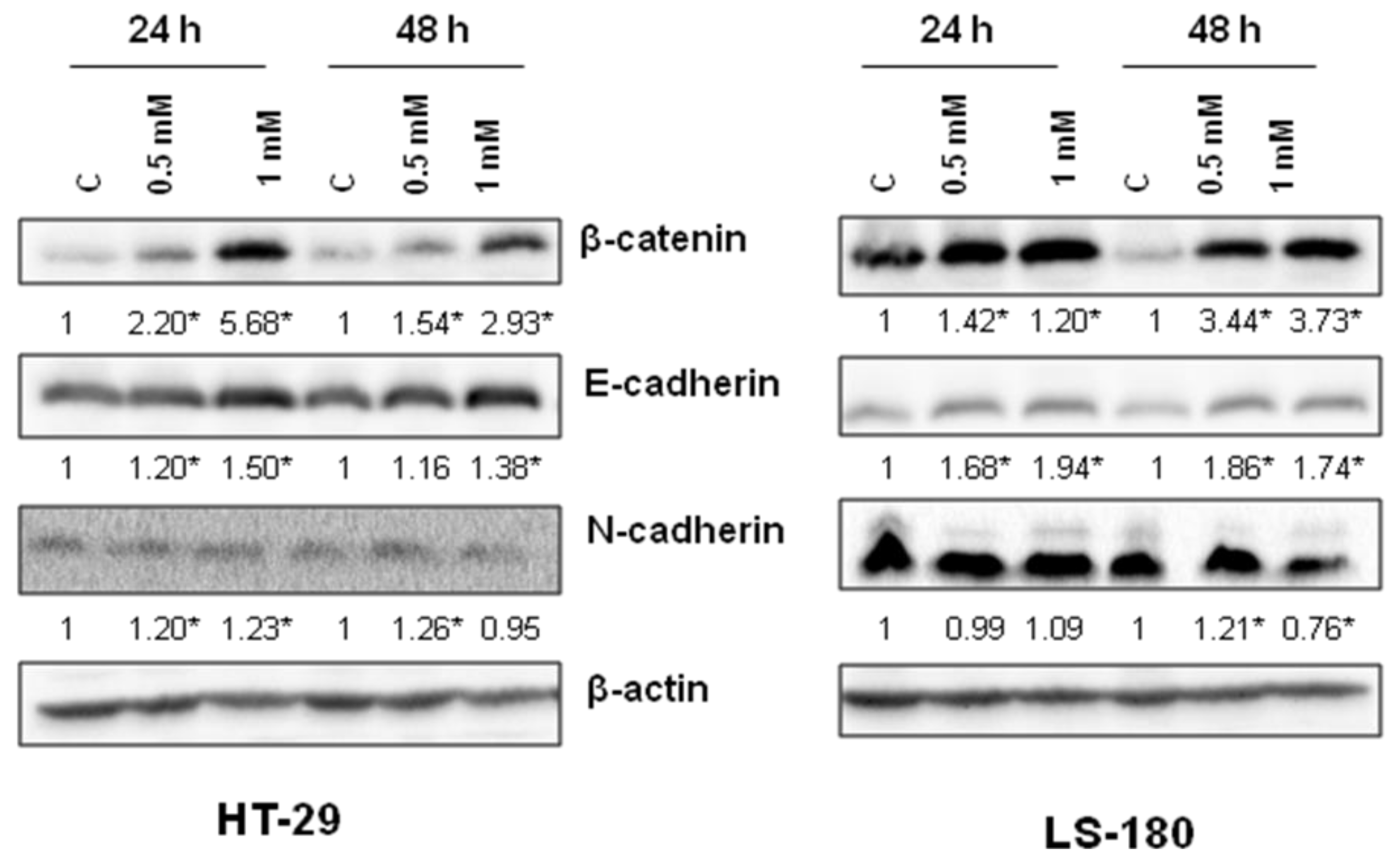 Molecules 25 01655 g007