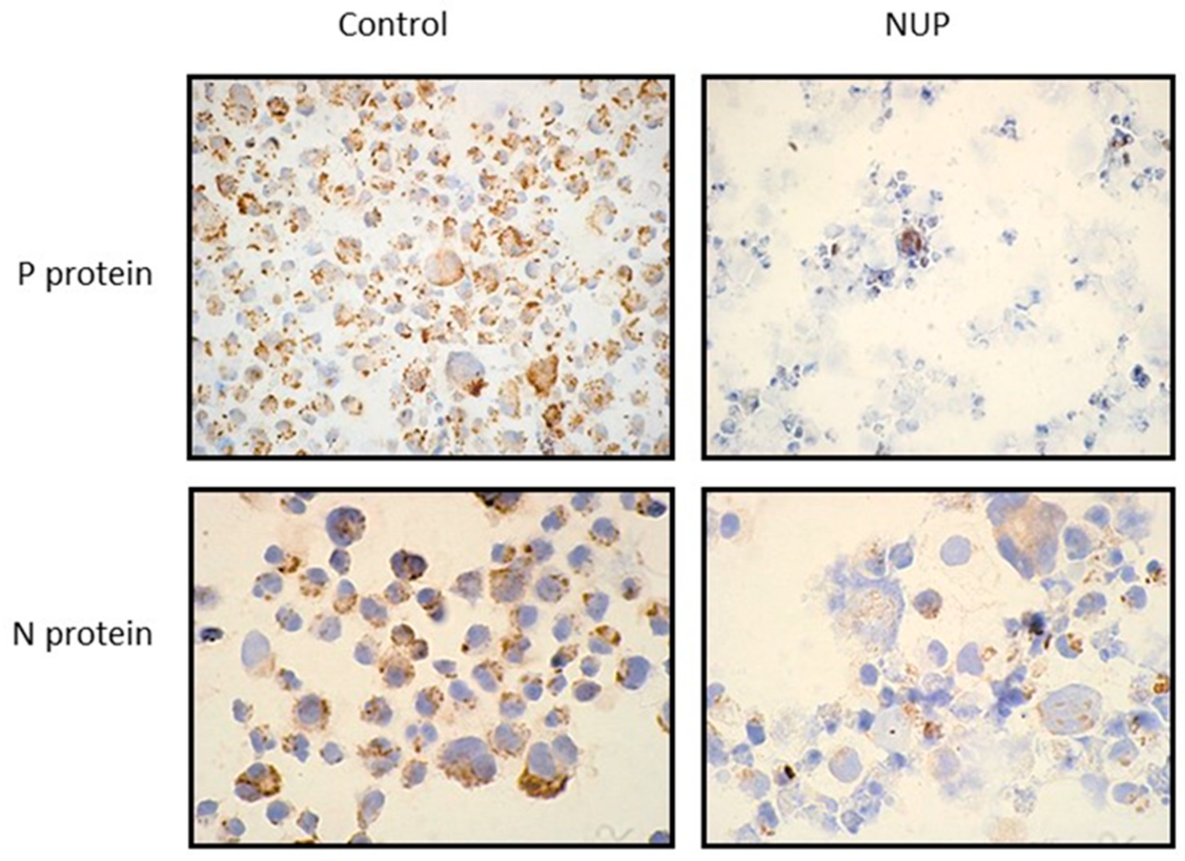 Molecules 25 01657 g003 Molecules 25 01657 g003
