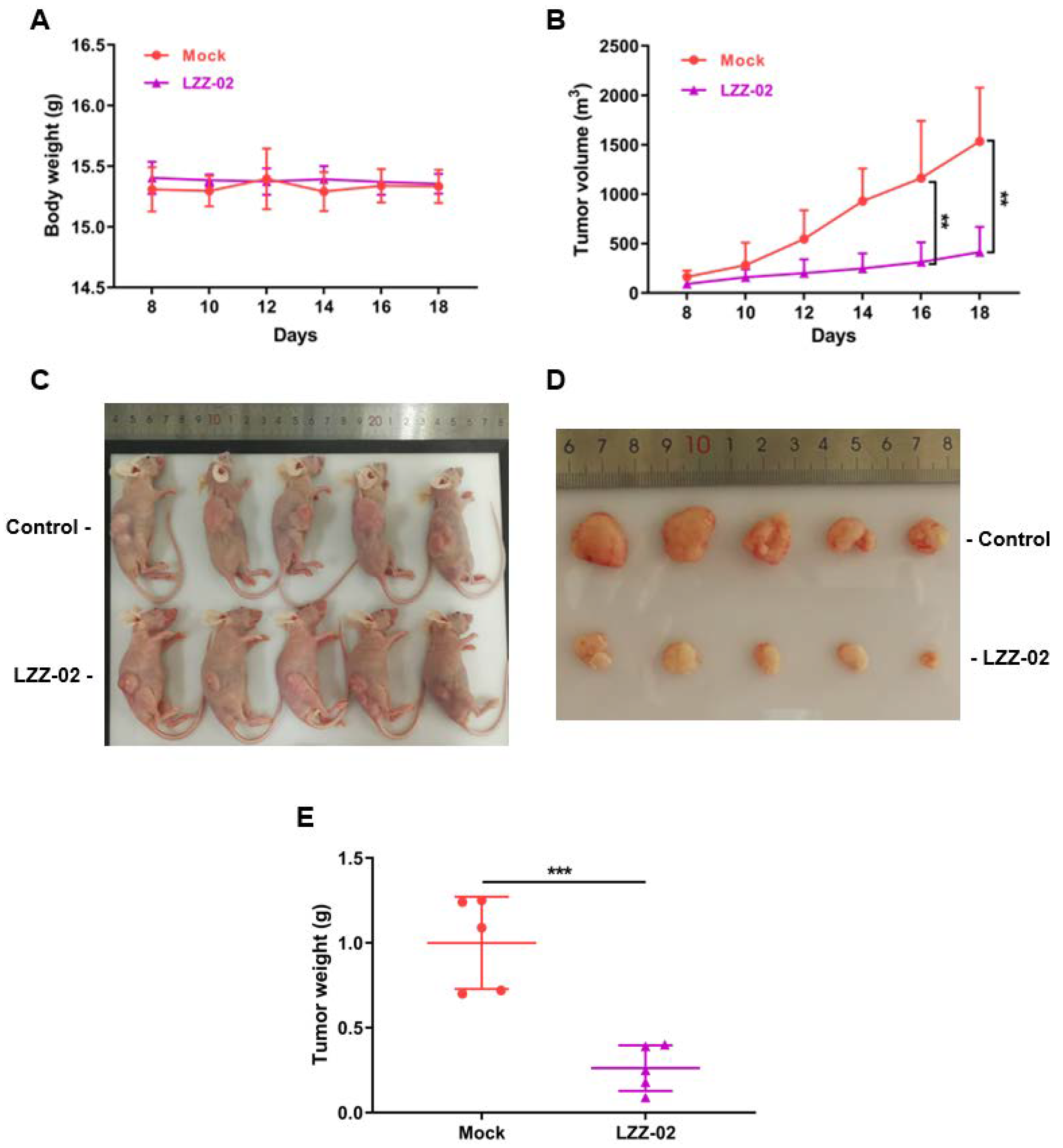 Molecules 25 01680 g006
