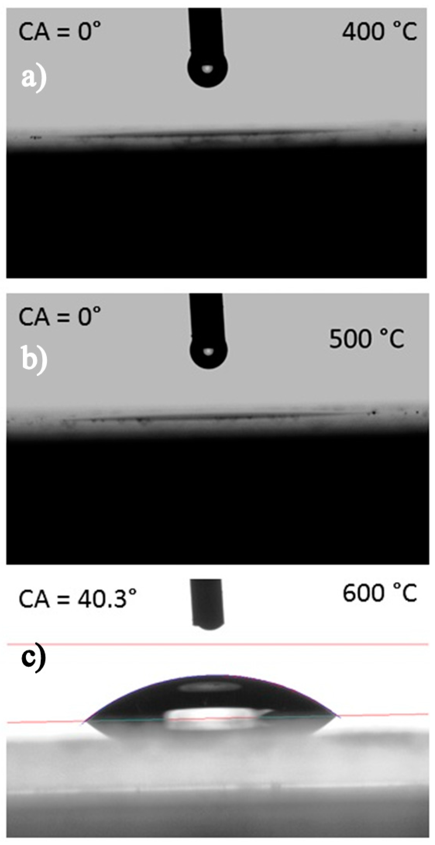 Molecules 25 01683 g007 Molecules 25 01683 g007