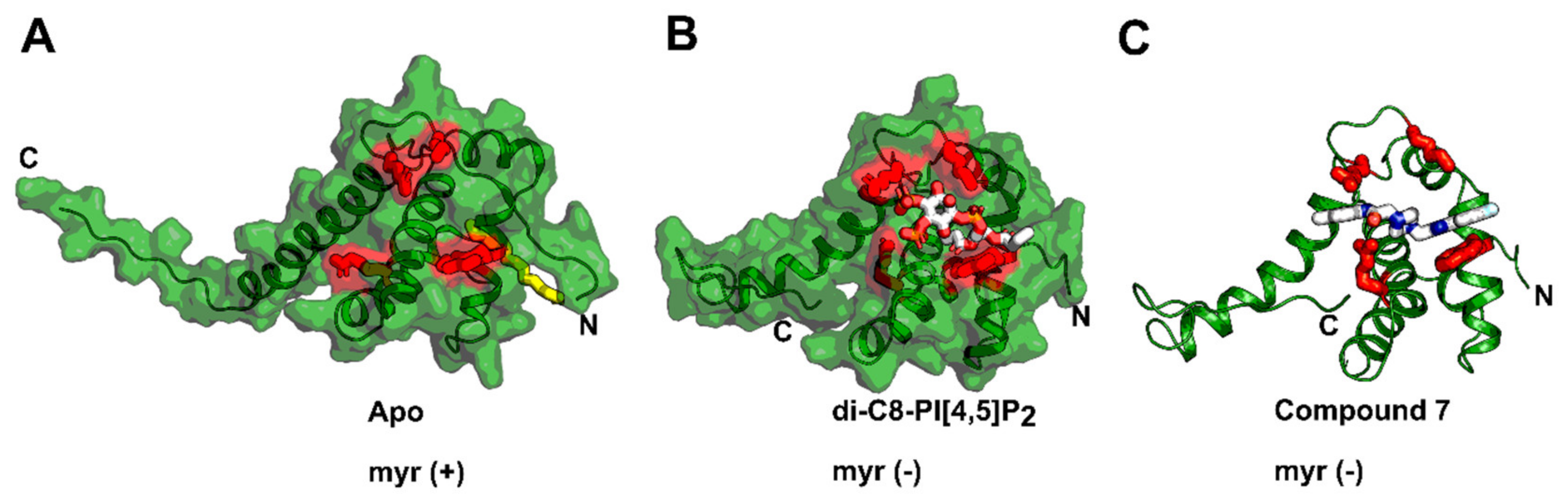 Molecules 25 01687 g004