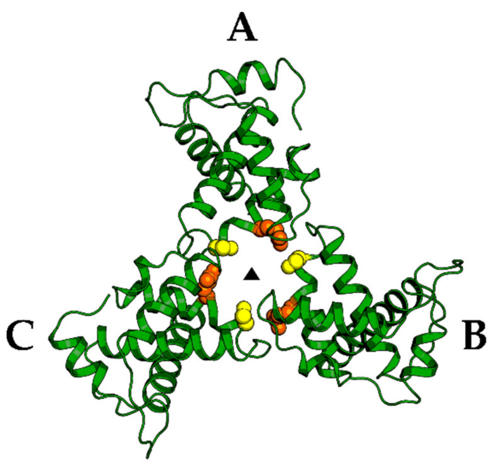Molecules 25 01687 g006