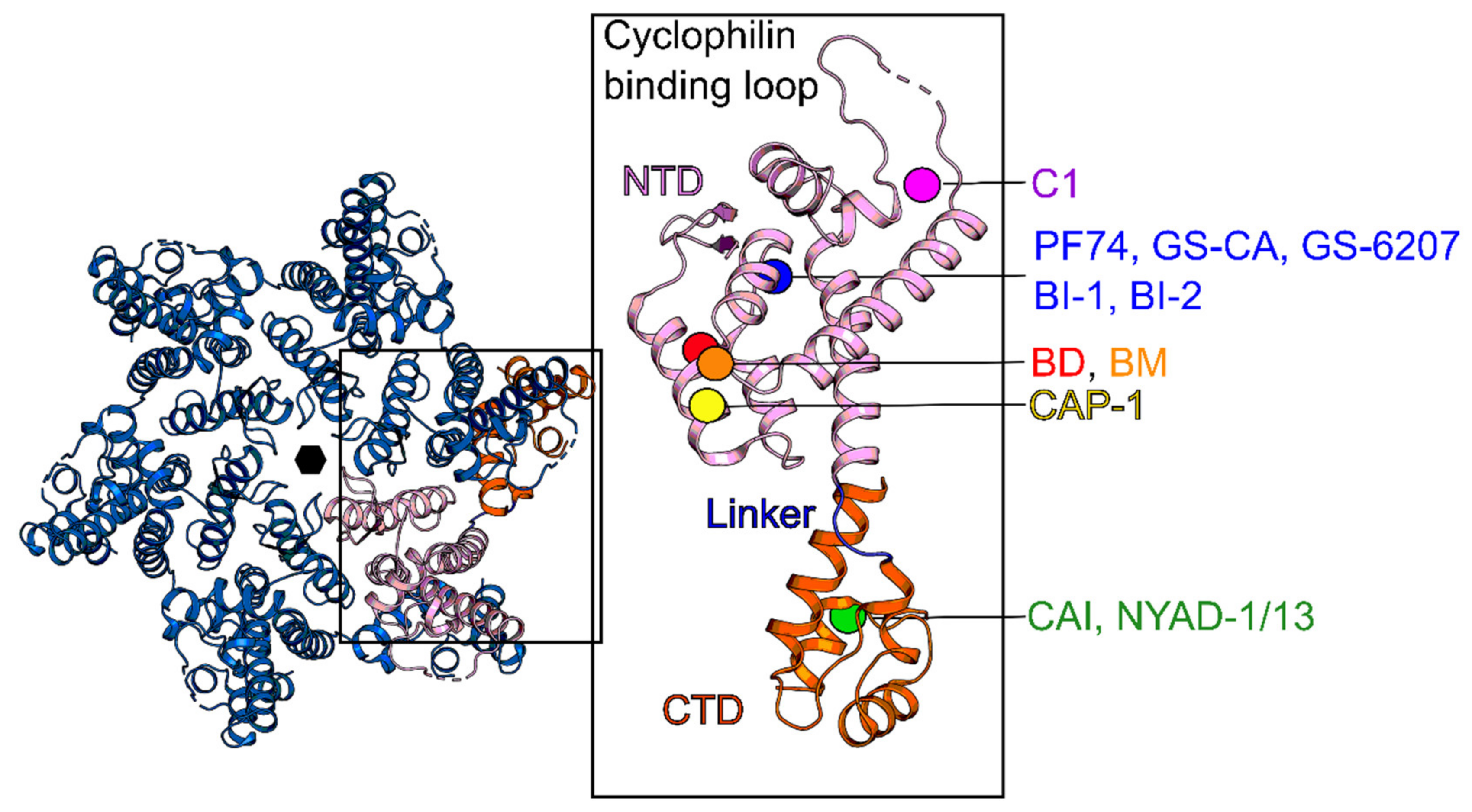 Molecules 25 01687 g007