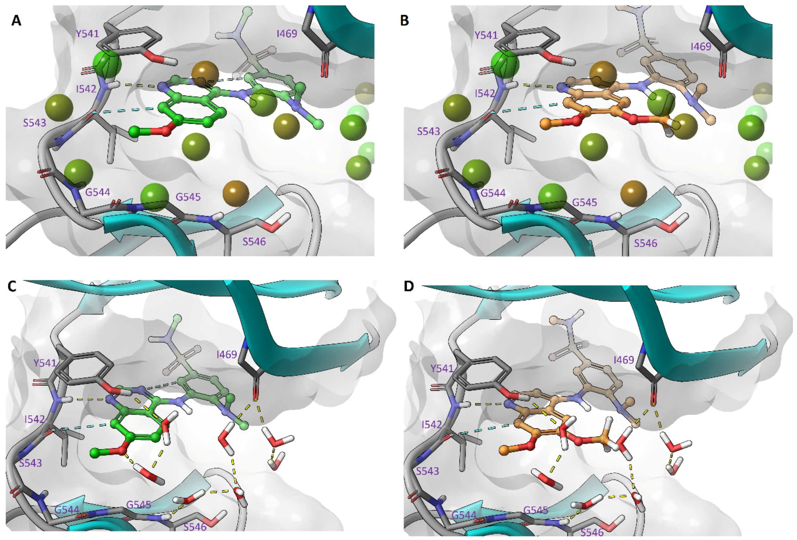 Molecules 25 01697 g005