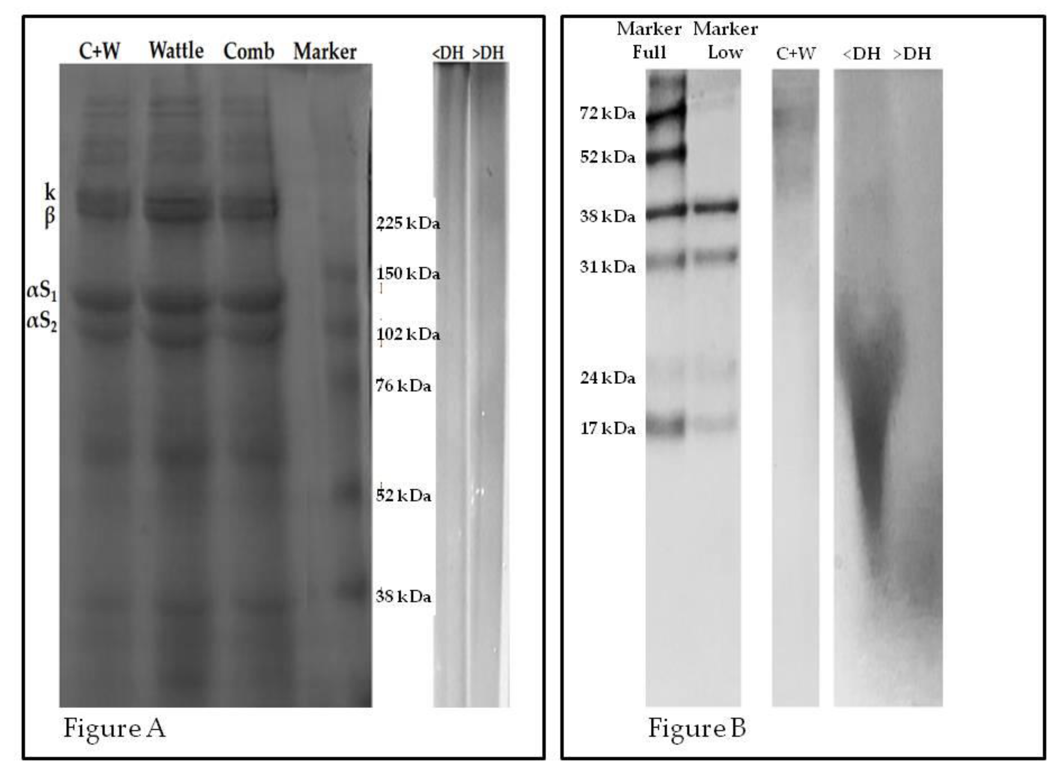 Molecules 25 01698 g002 Molecules 25 01698 g002