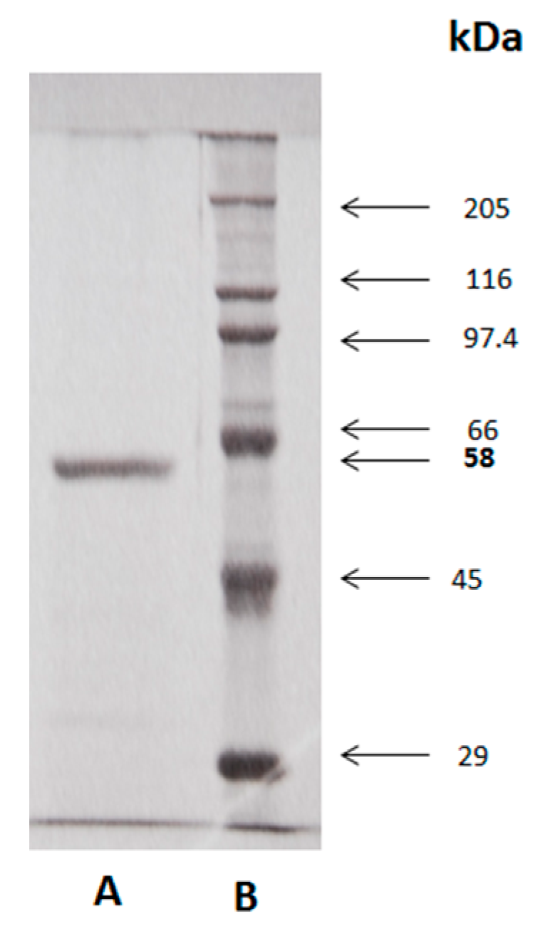 Molecules 25 01699 g004 550