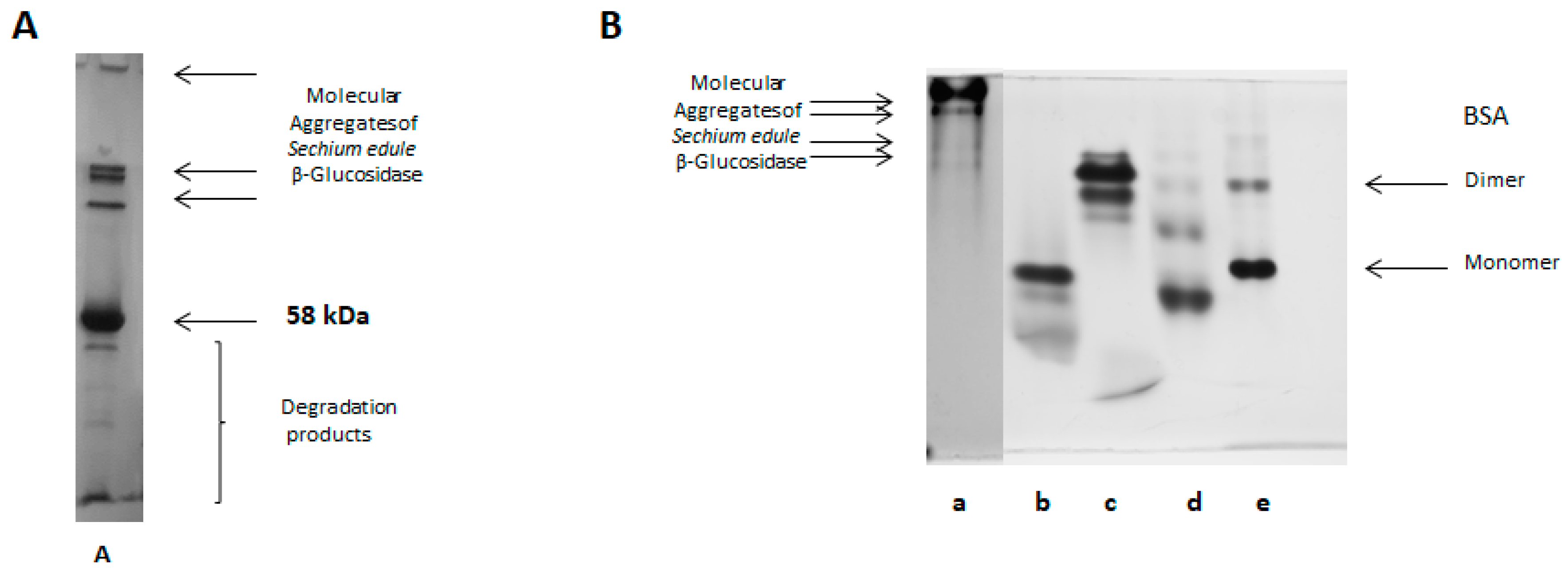Molecules 25 01699 g005a 550