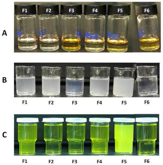 Molecules | Free Full-Text | Bioactive Self-Nanoemulsifying Drug ...