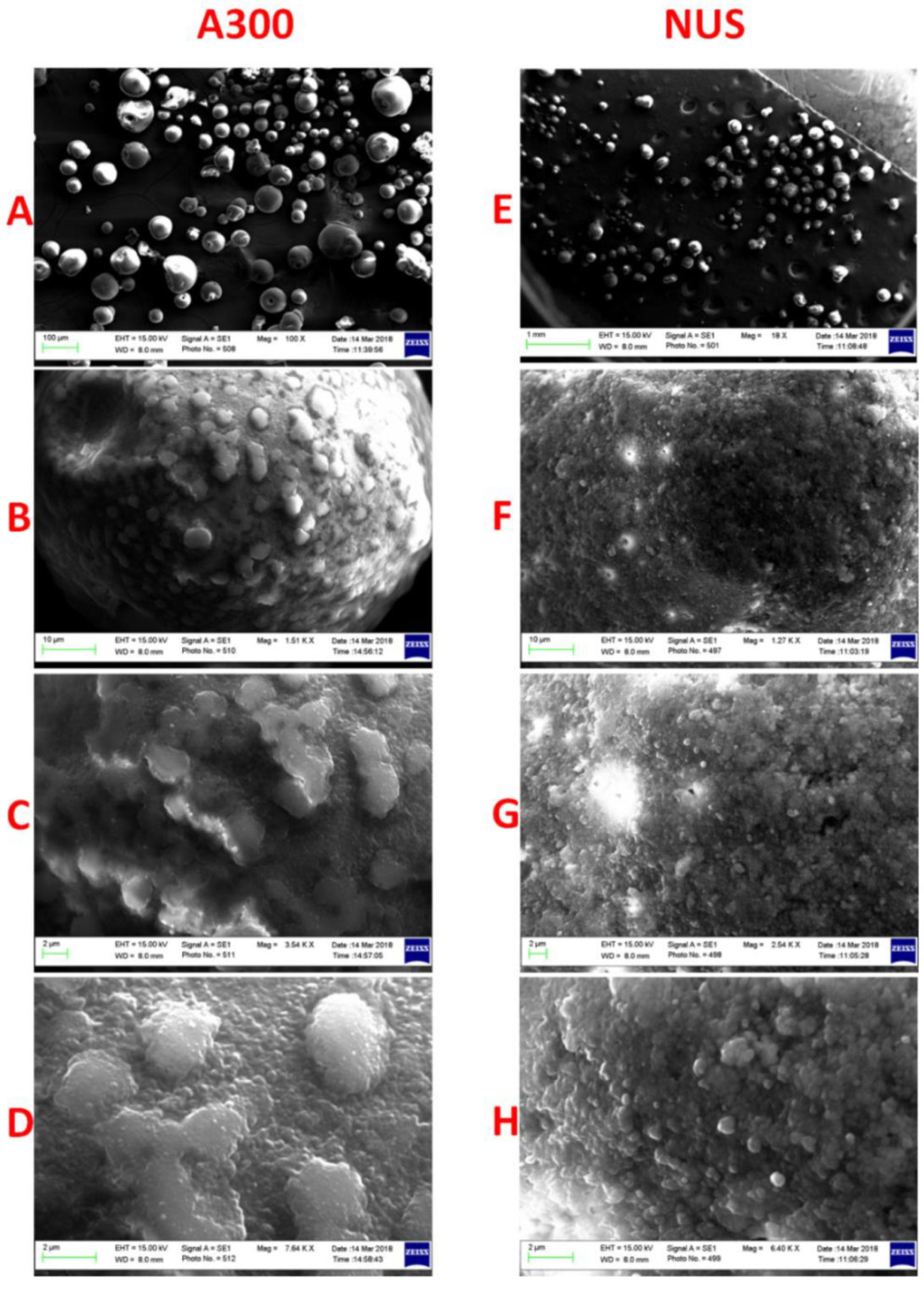 Molecules 25 01703 g006