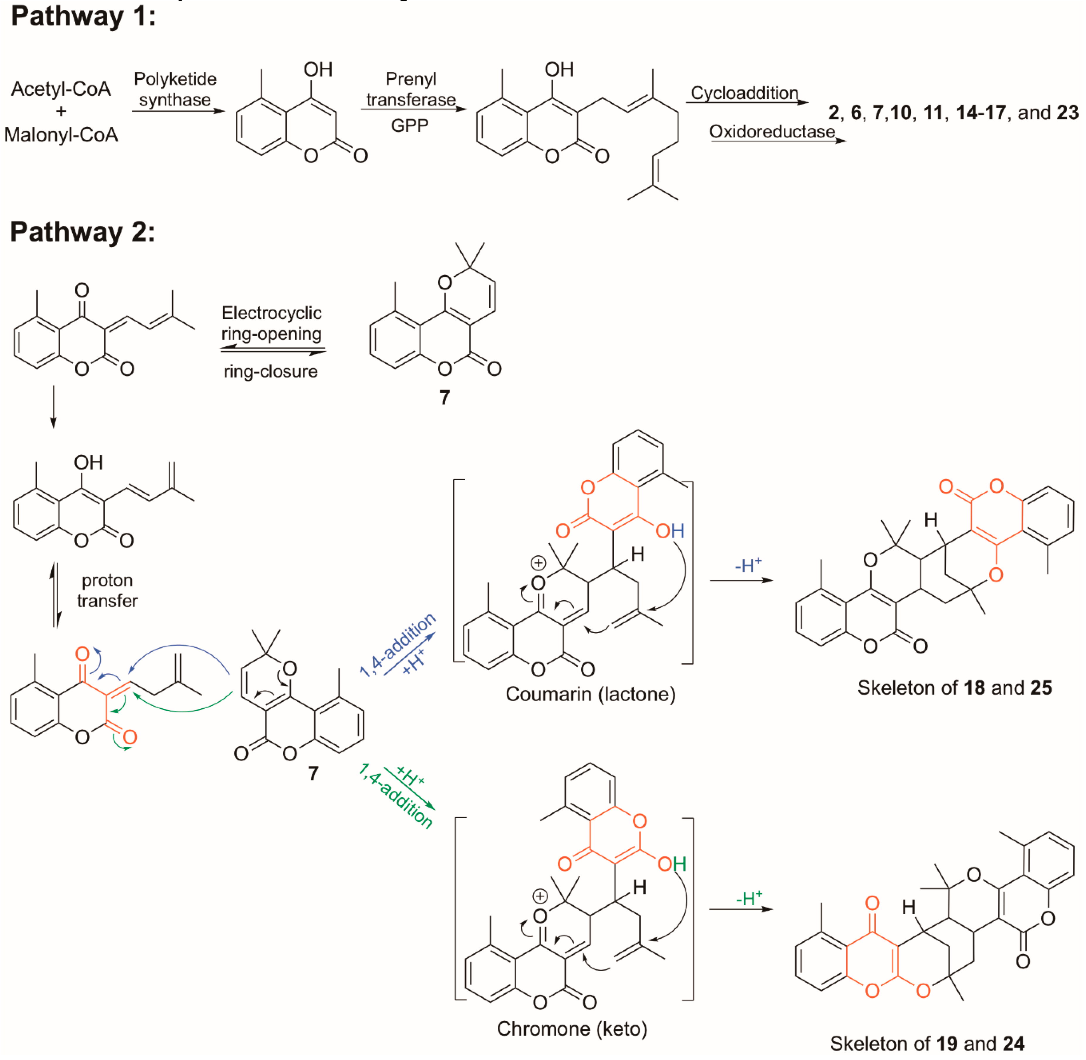 Molecules 25 01706 g010