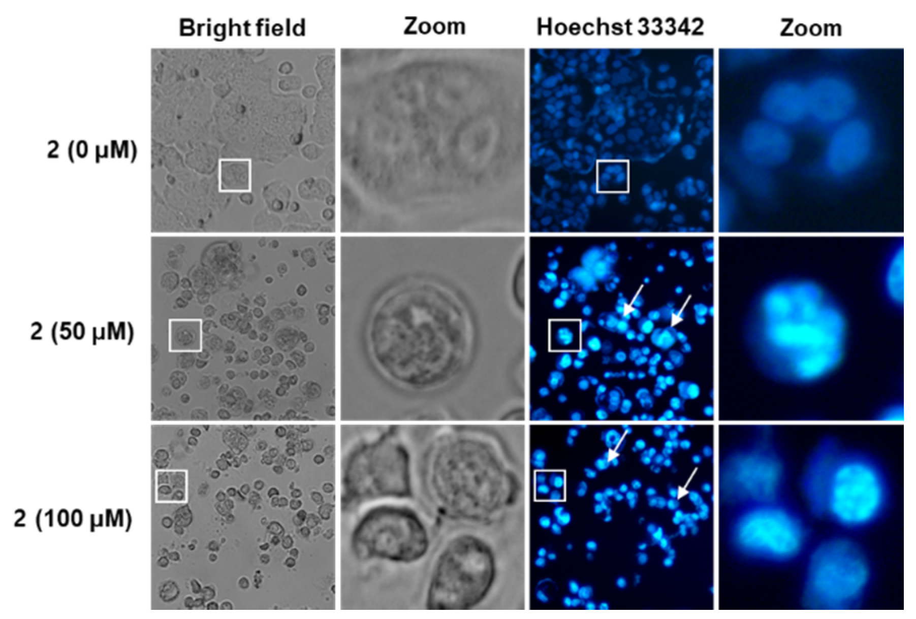 Molecules 25 01708 g004 Molecules 25 01708 g004