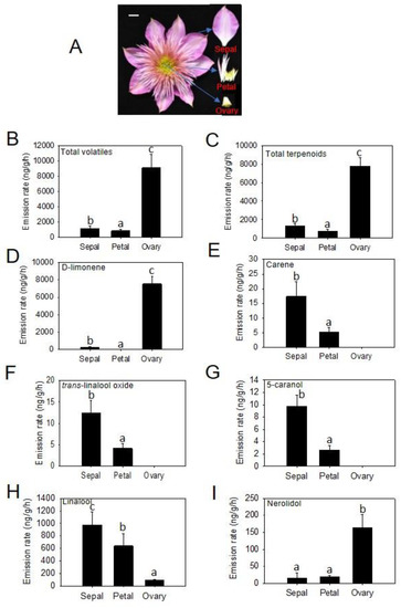 Molecules Free Full Text Composition And Biosynthesis Of Scent