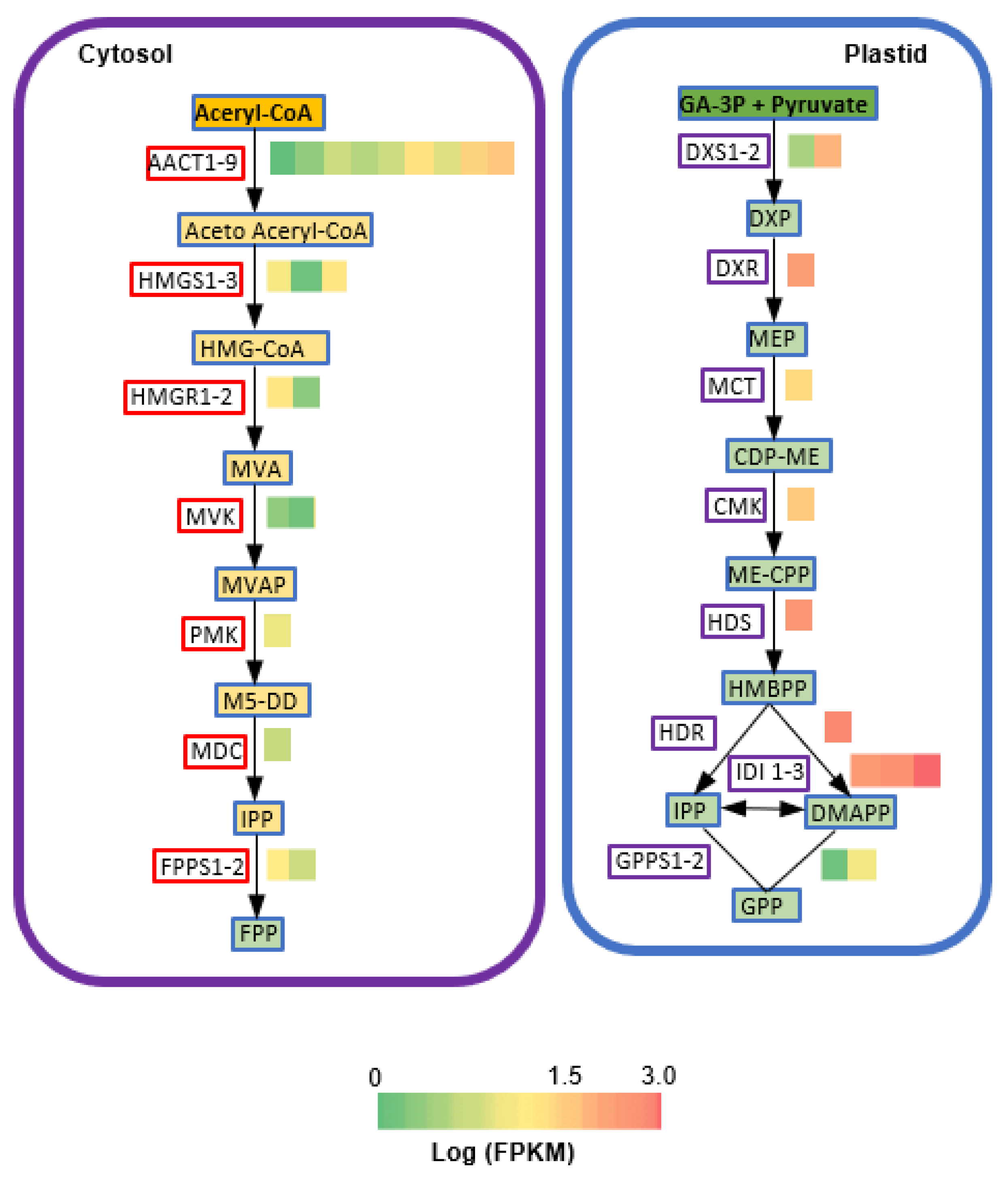 Molecules 25 01711 g003 Molecules 25 01711 g003