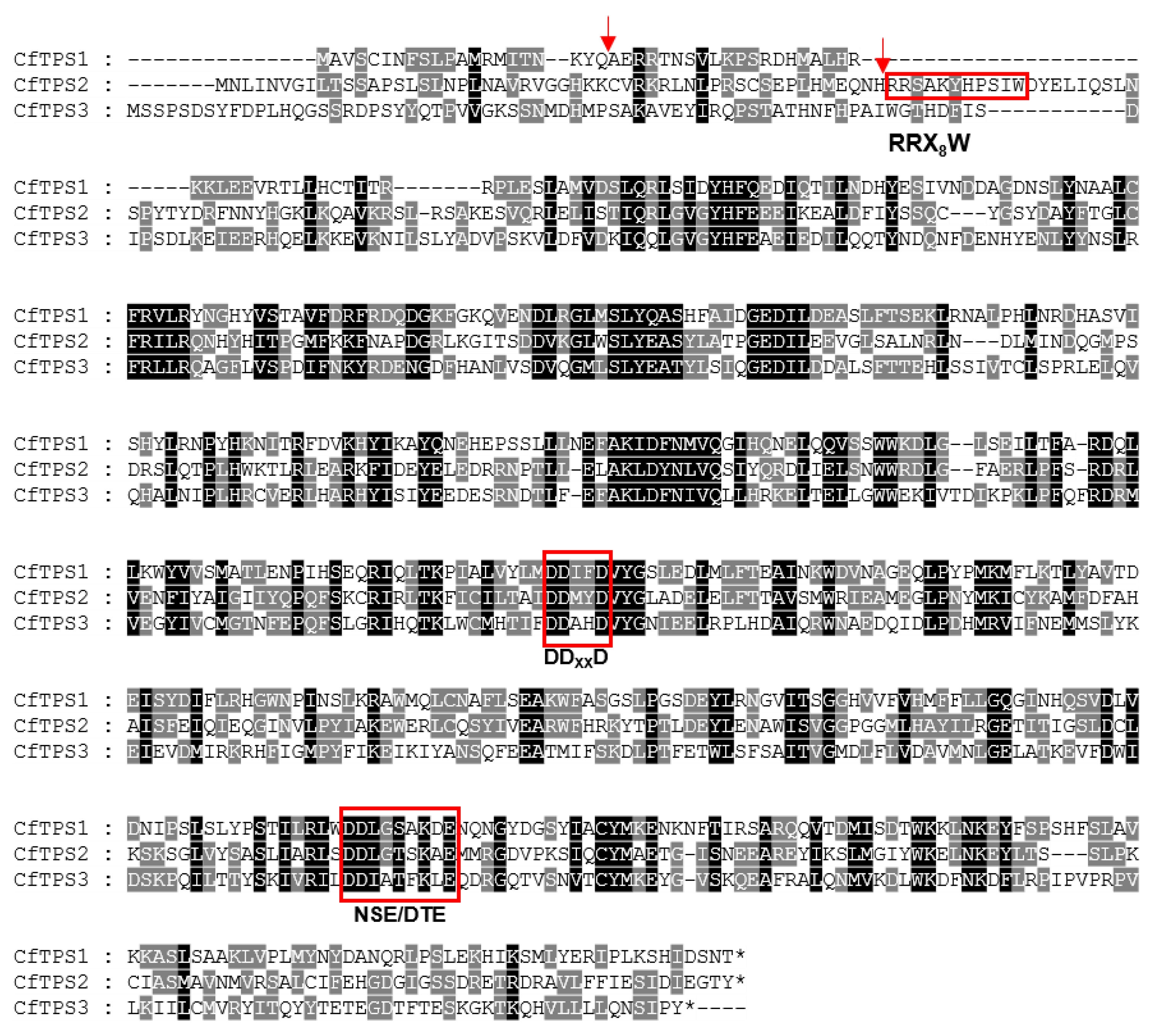 Molecules 25 01711 g004 Molecules 25 01711 g004