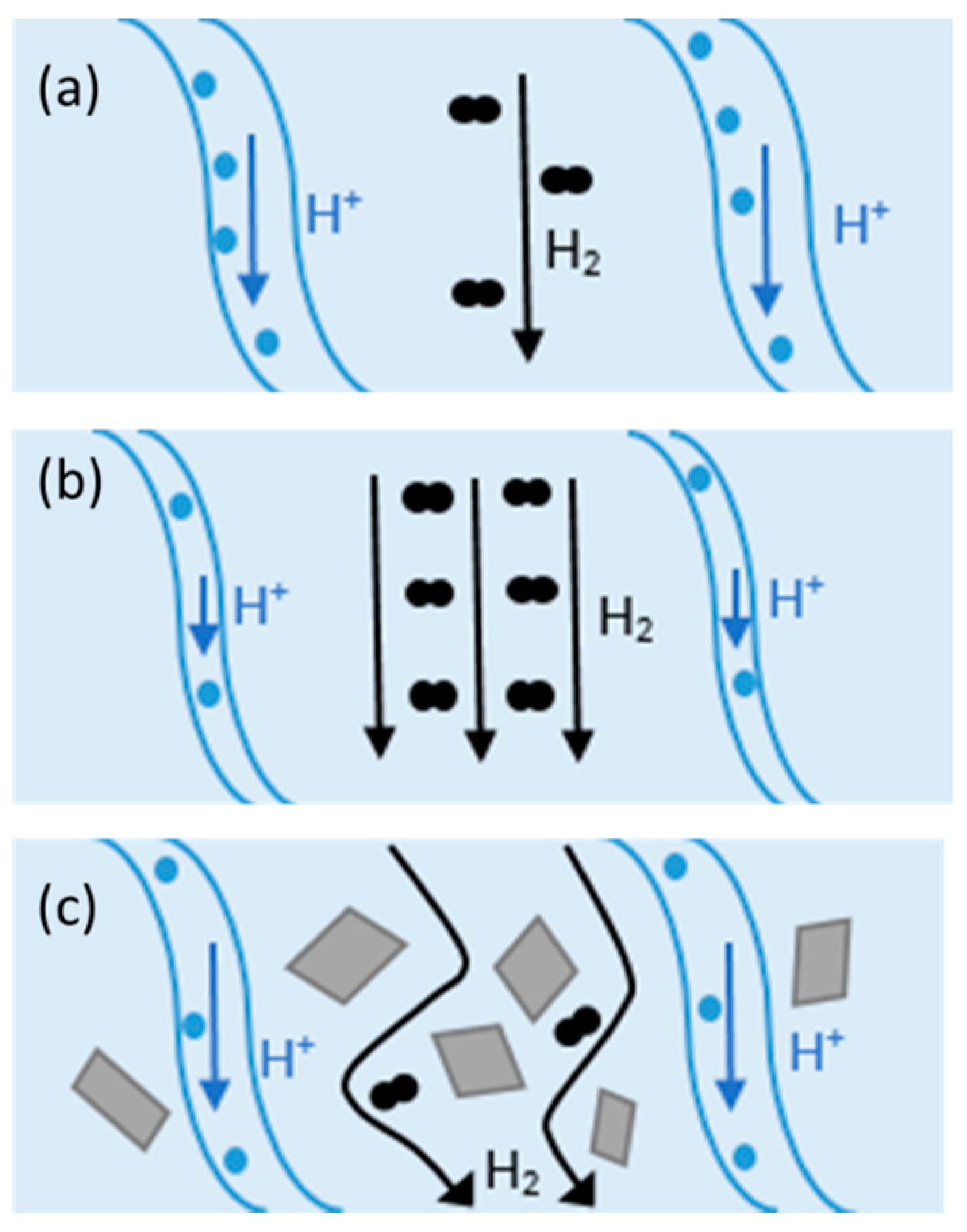 Molecules 25 01712 g003 Molecules 25 01712 g003