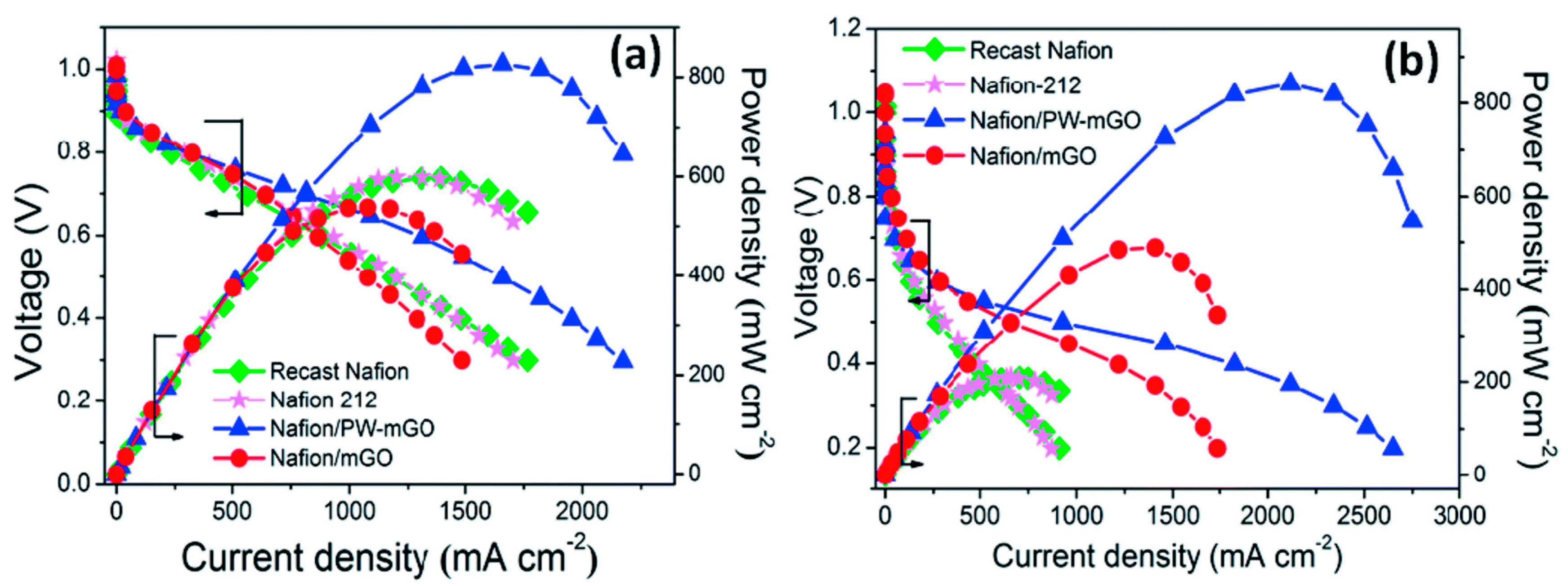 Molecules 25 01712 g007 Molecules 25 01712 g007