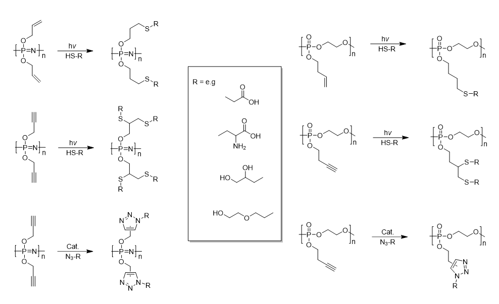 Molecules 25 01716 g008