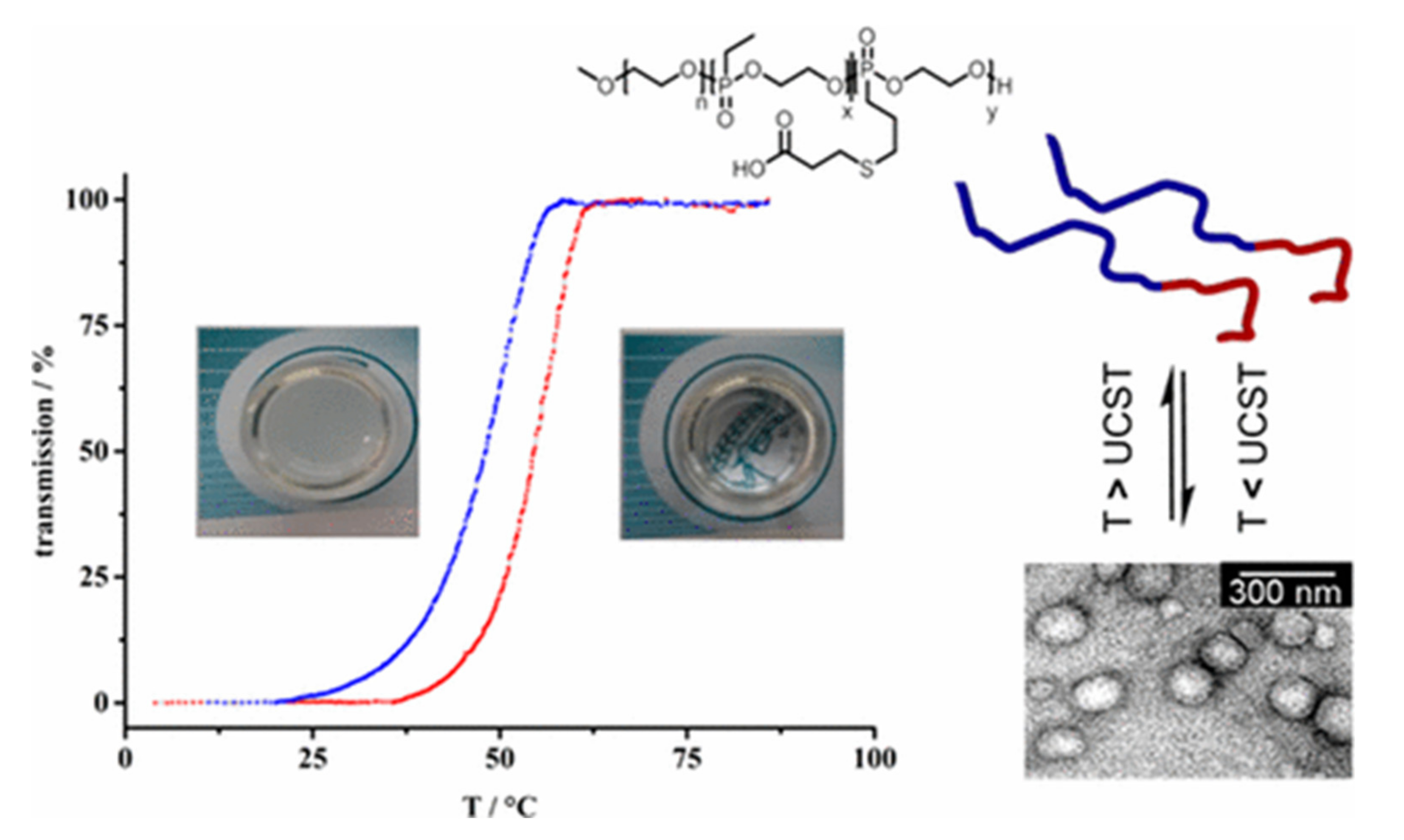 Molecules 25 01716 g018