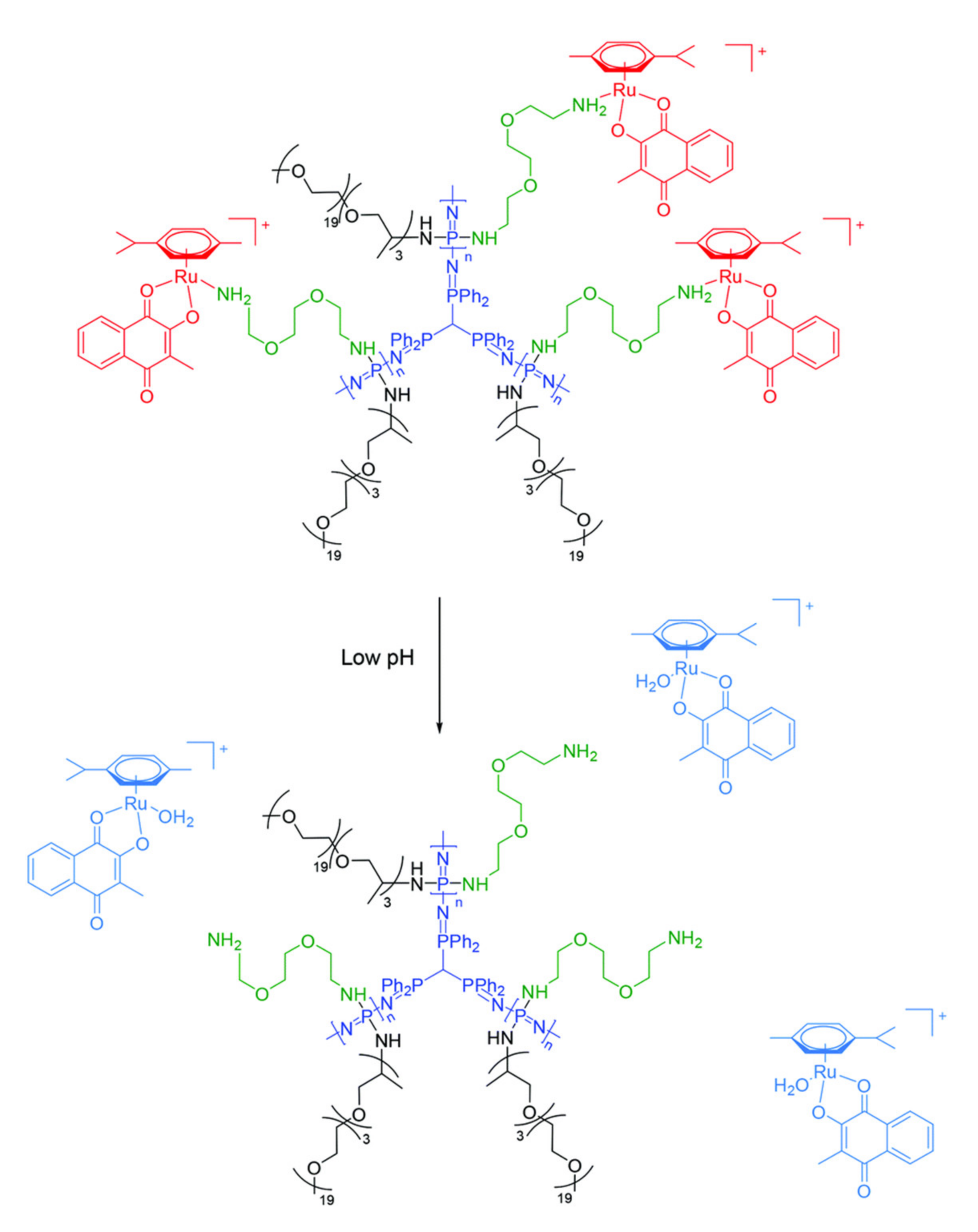 Molecules 25 01716 g023