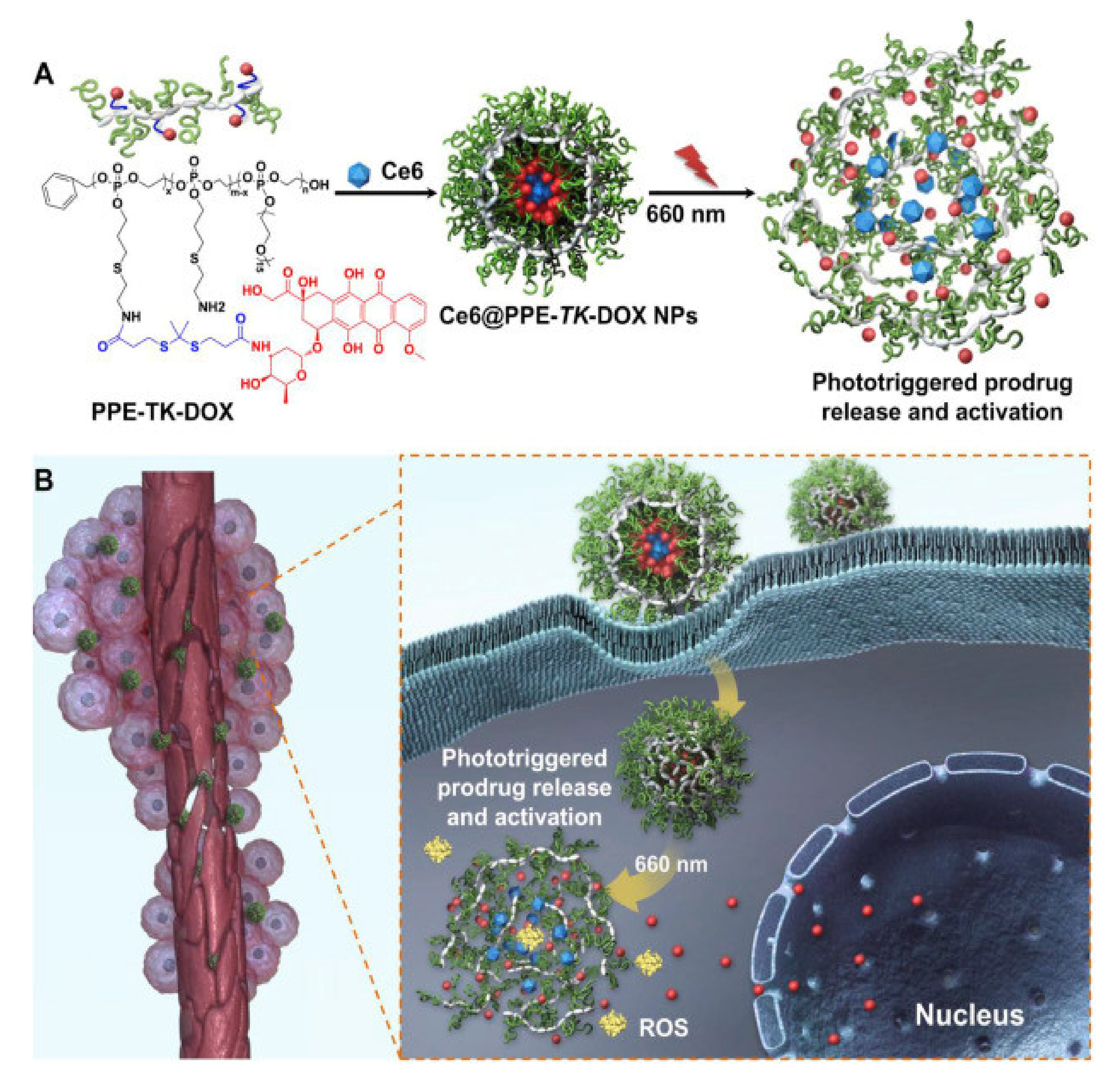 Molecules 25 01716 g032