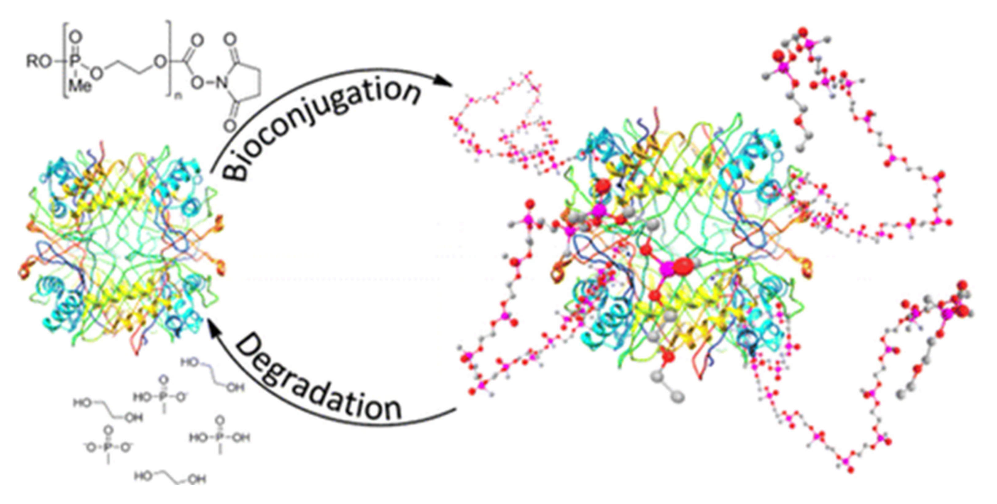 Molecules 25 01716 g034