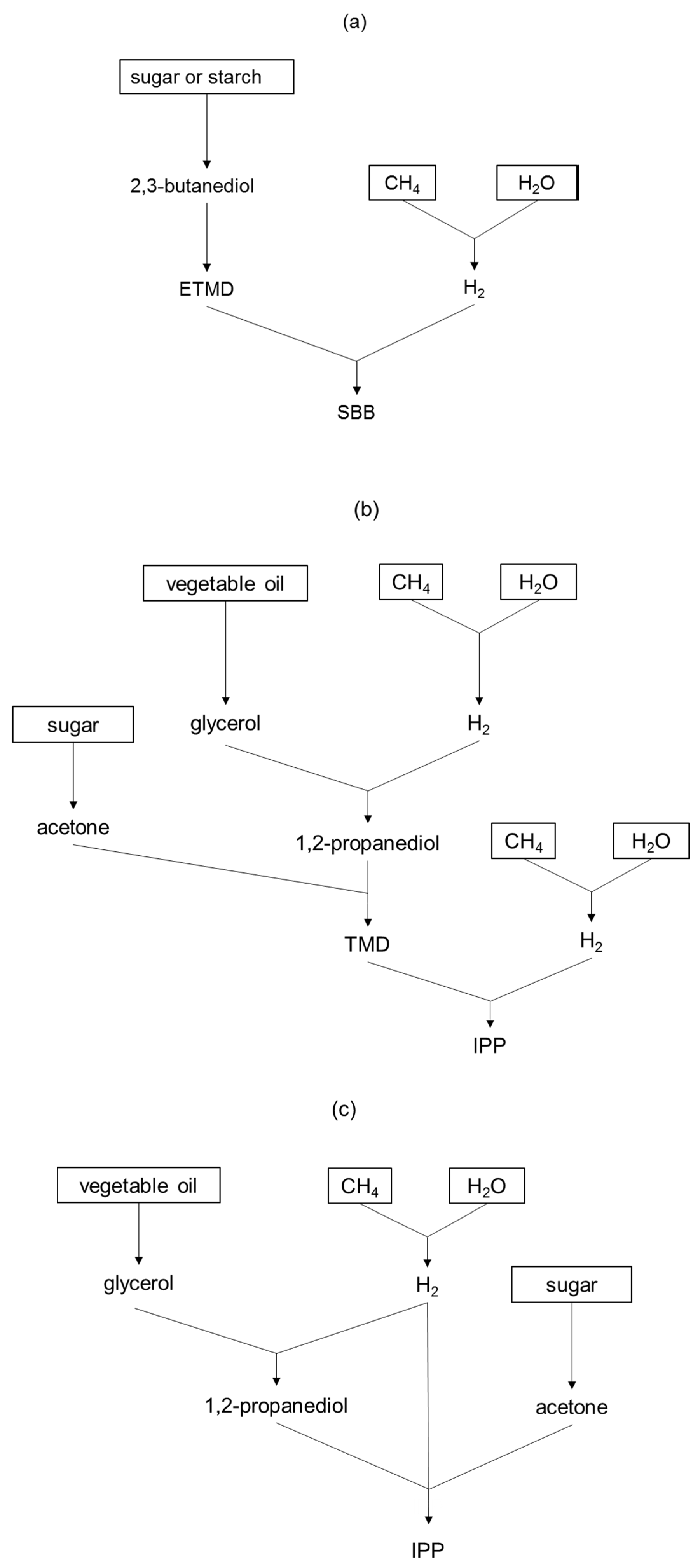 Molecules 25 01723 g004