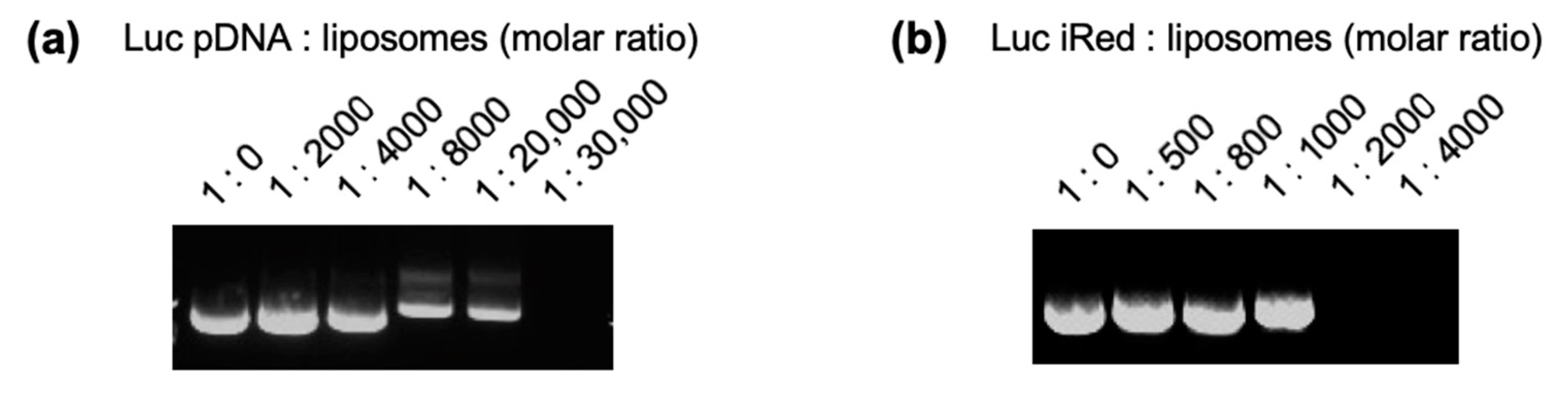 Molecules 25 01725 g001