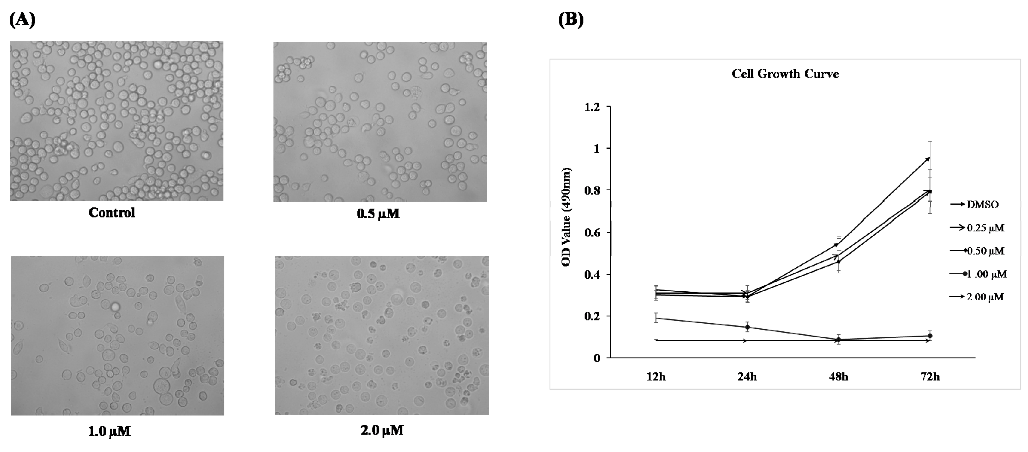Molecules 25 01738 g003