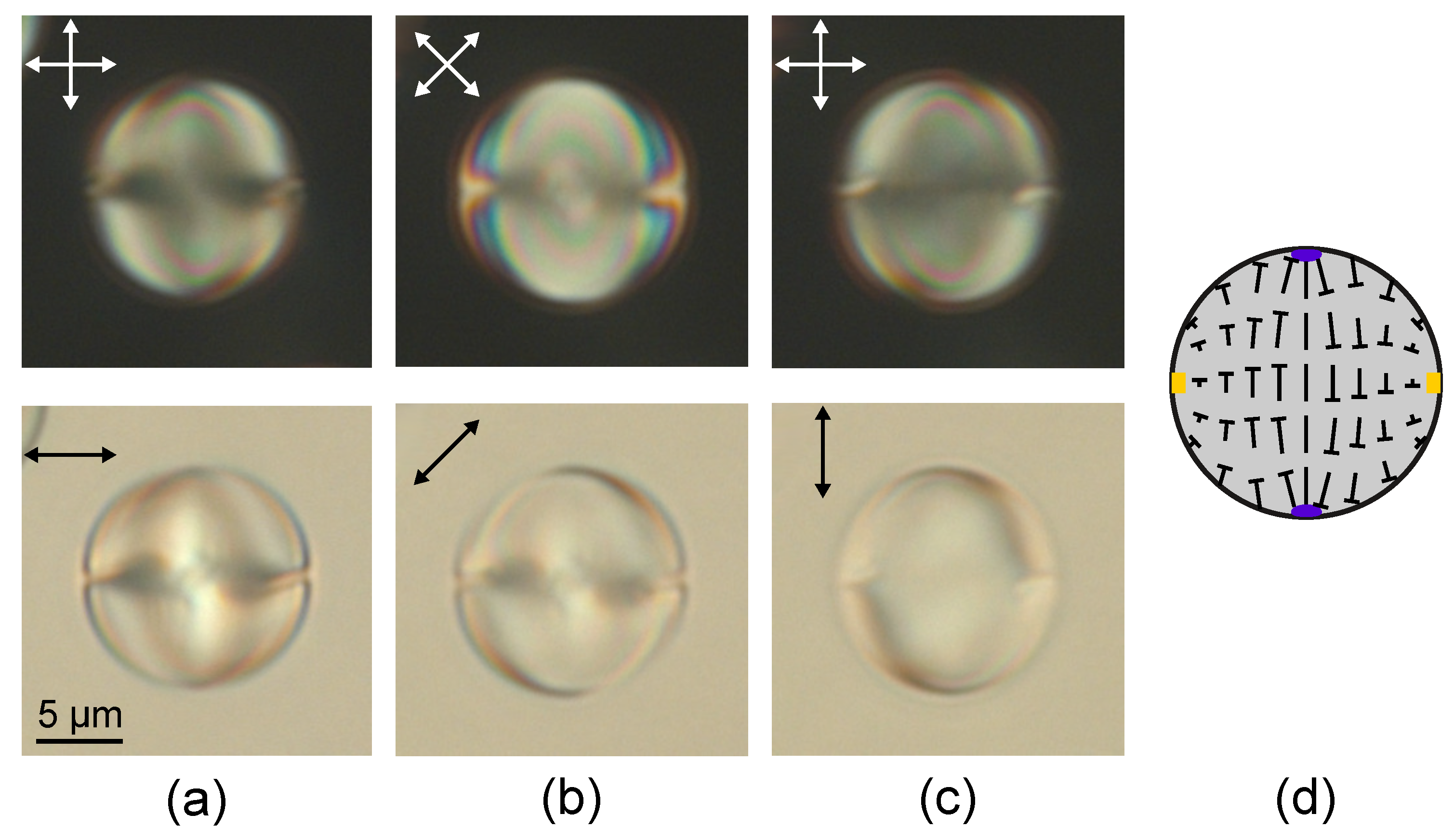 Molecules 25 01740 g002