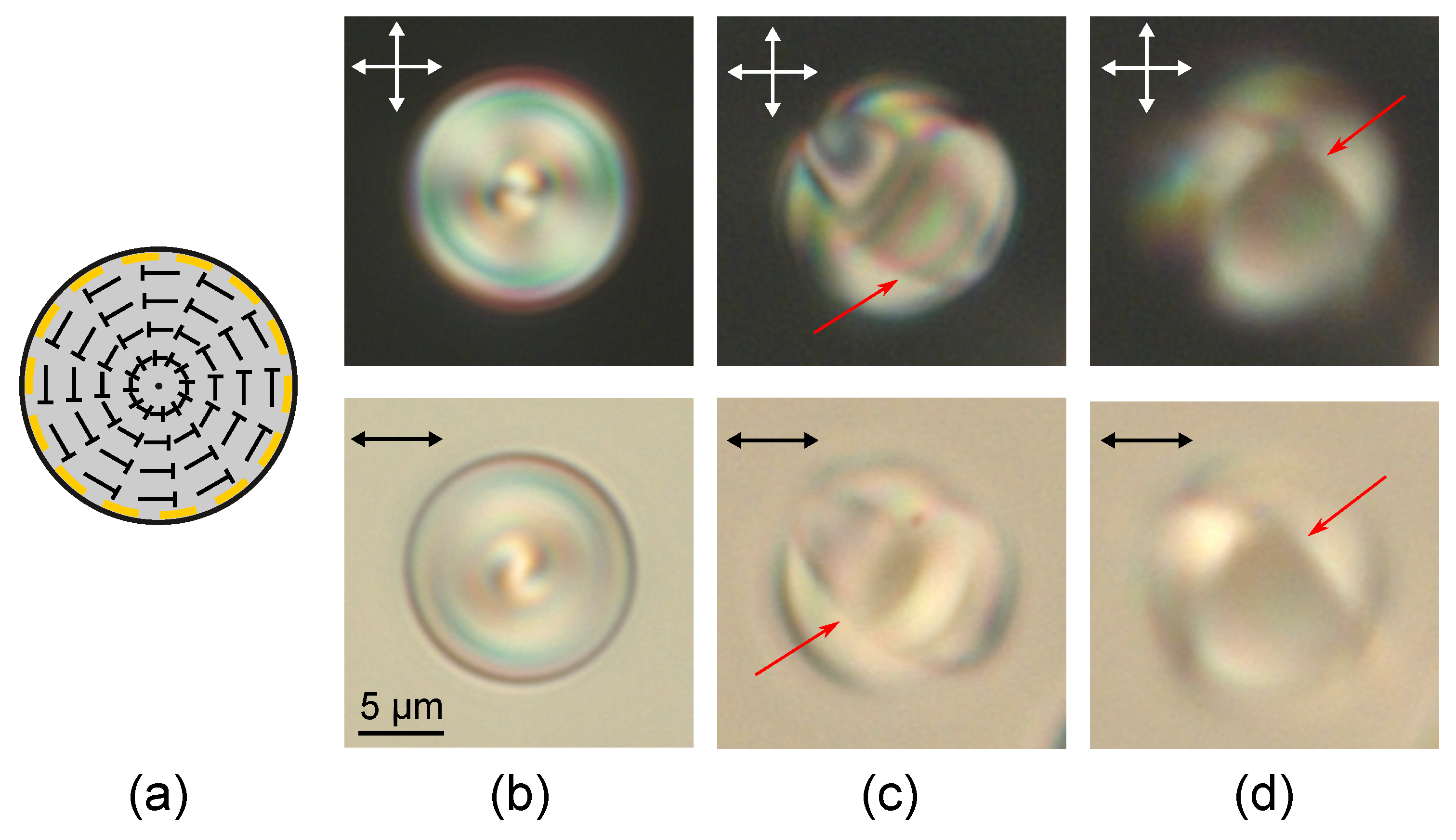 Molecules 25 01740 g003