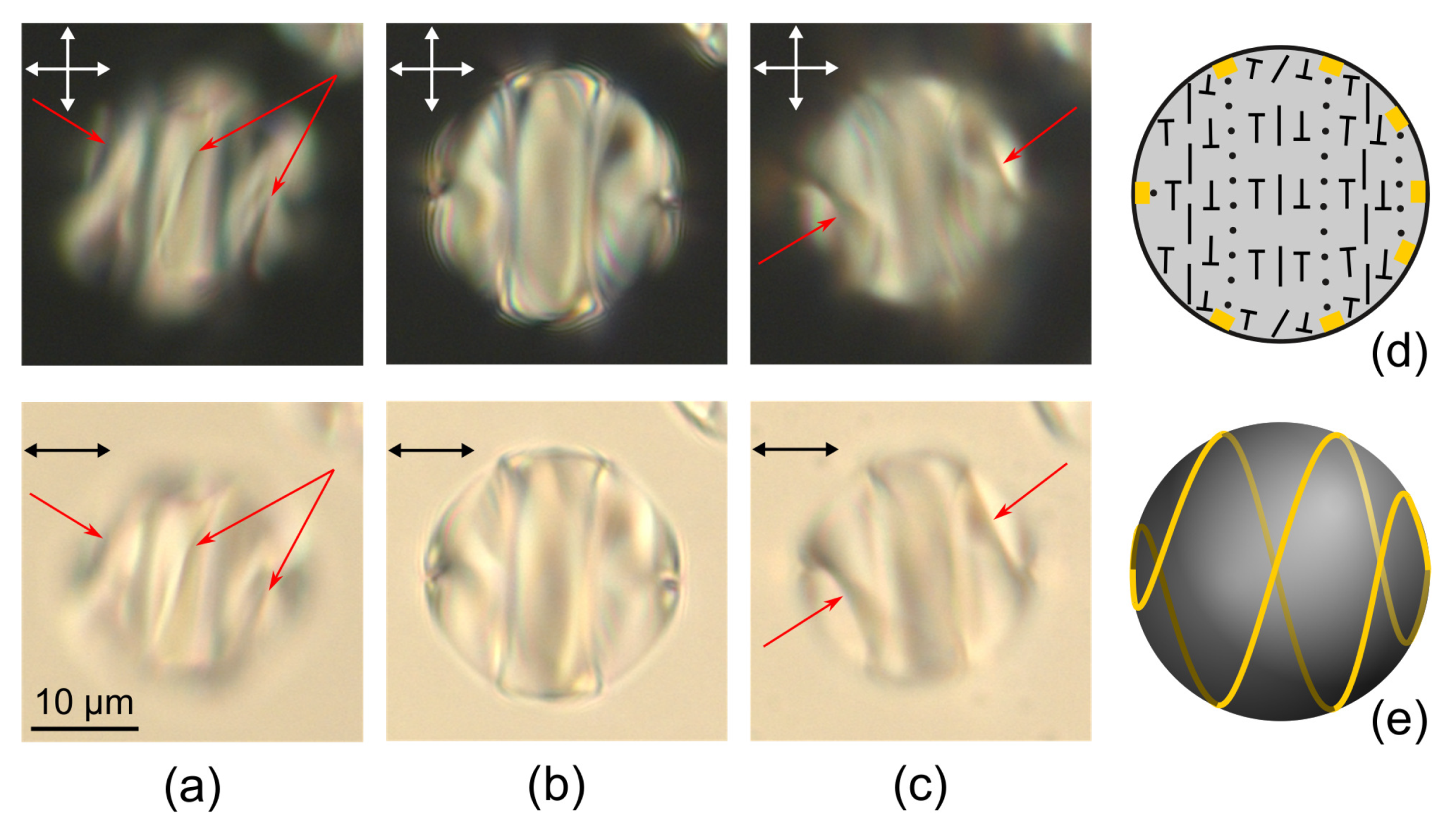 Molecules 25 01740 g004