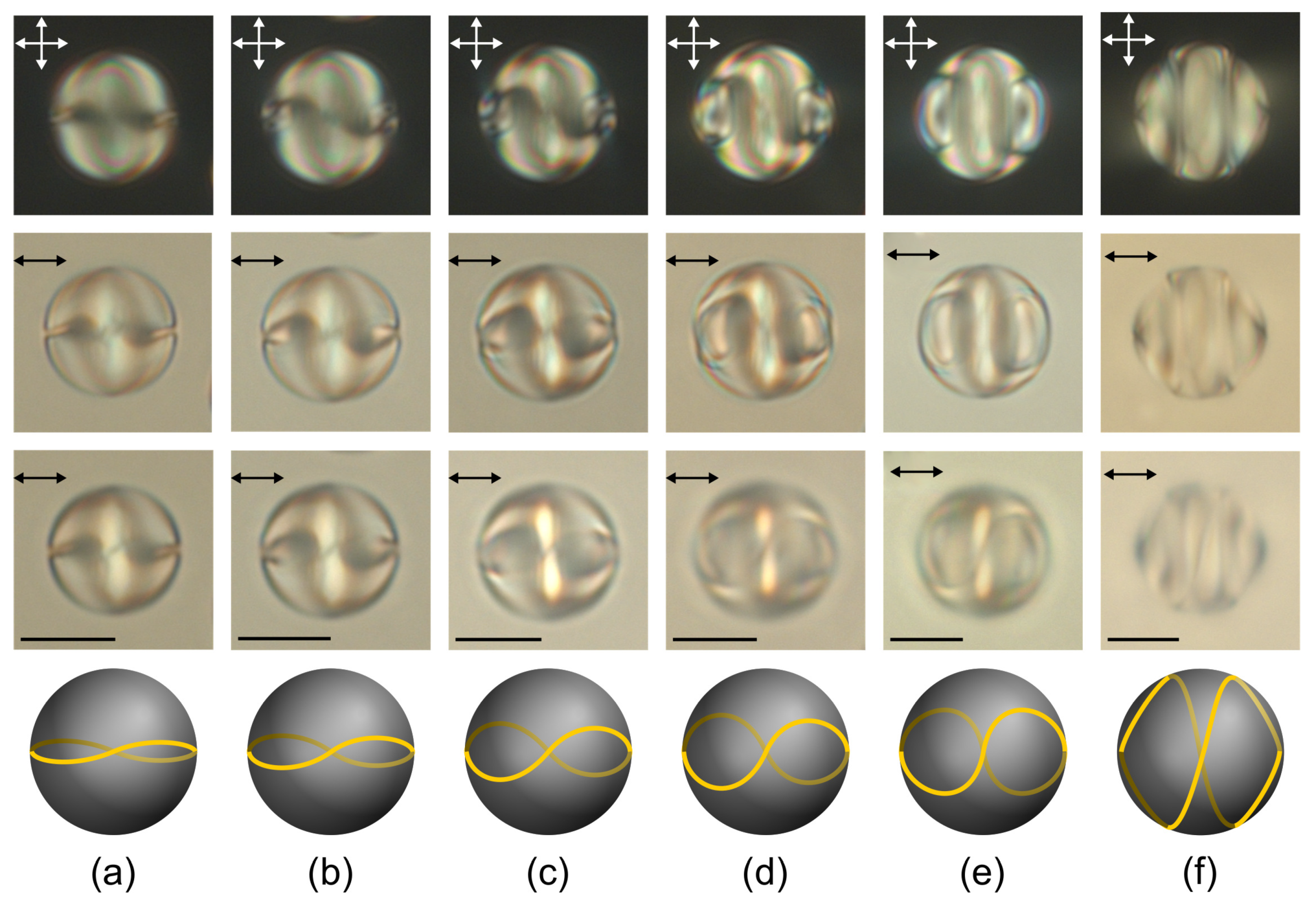 Molecules 25 01740 g006