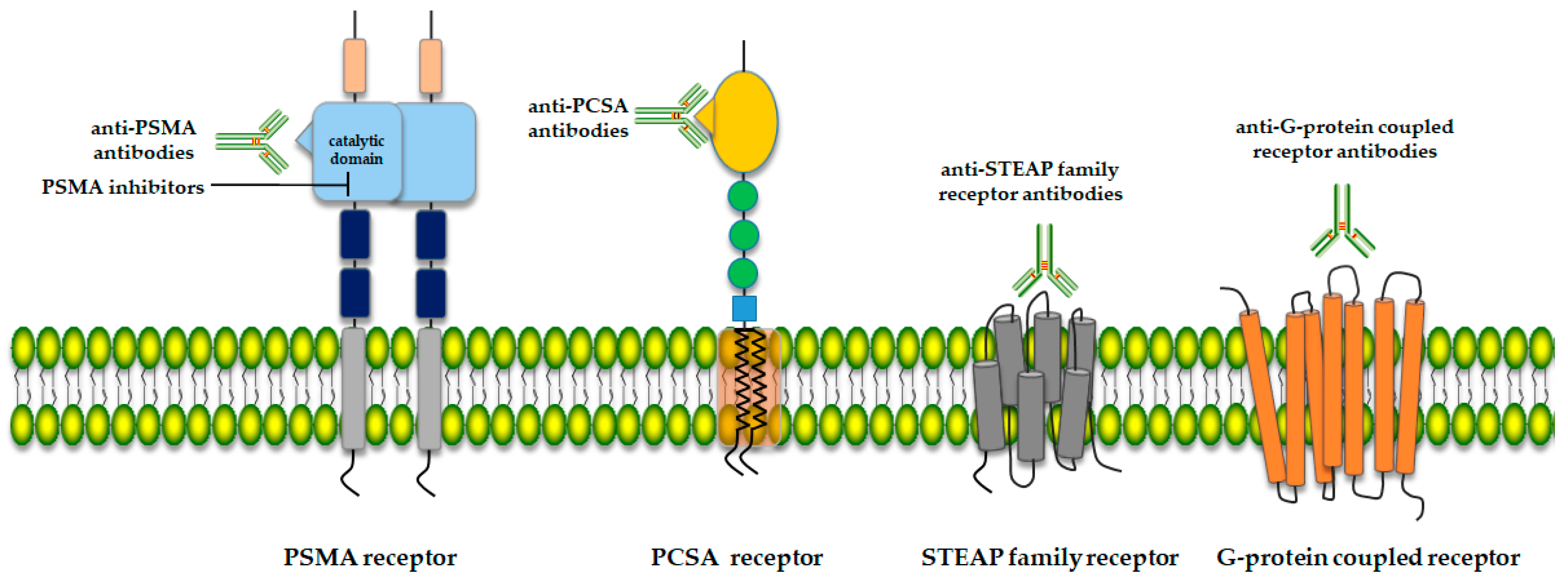 a prostatitis ugrása