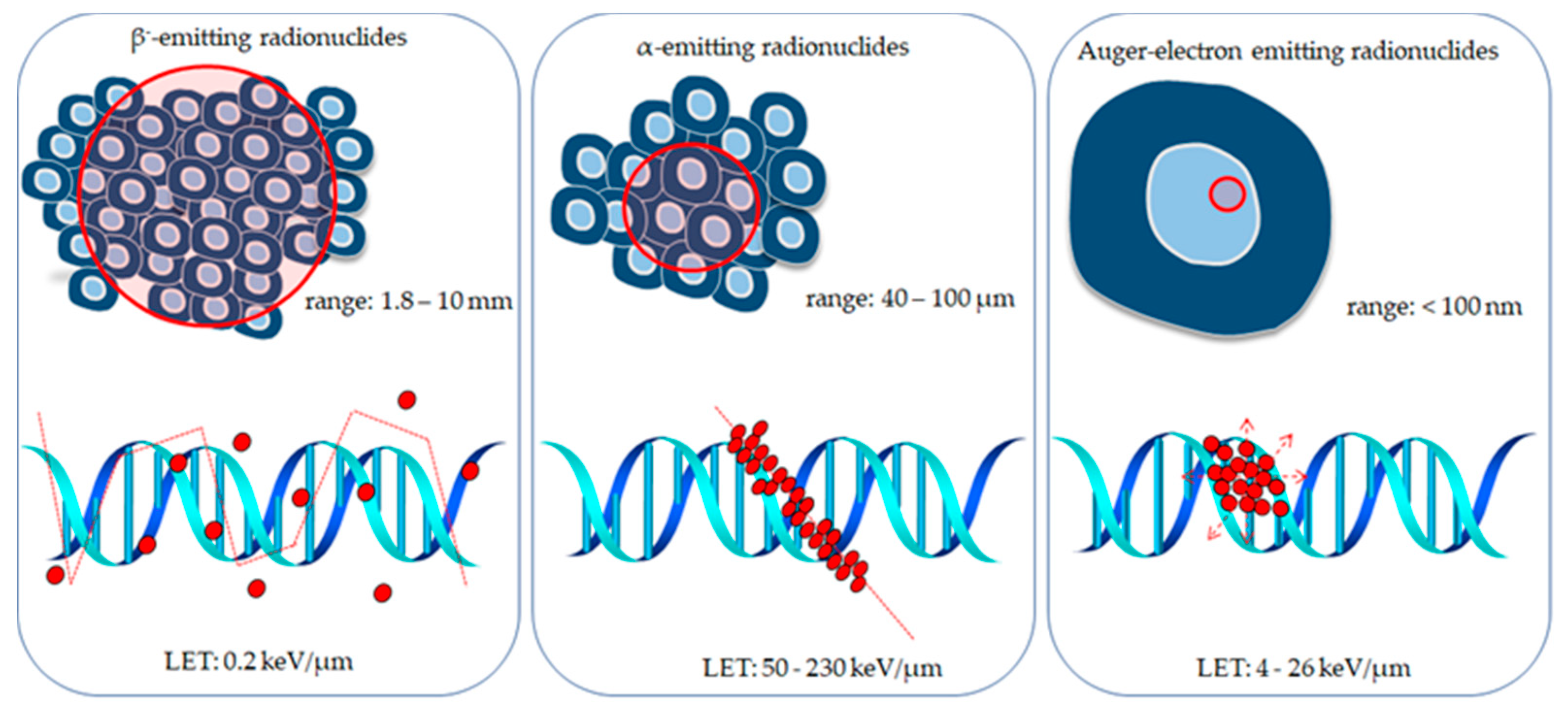 Molecules 25 01743 g004 Molecules 25 01743 g004